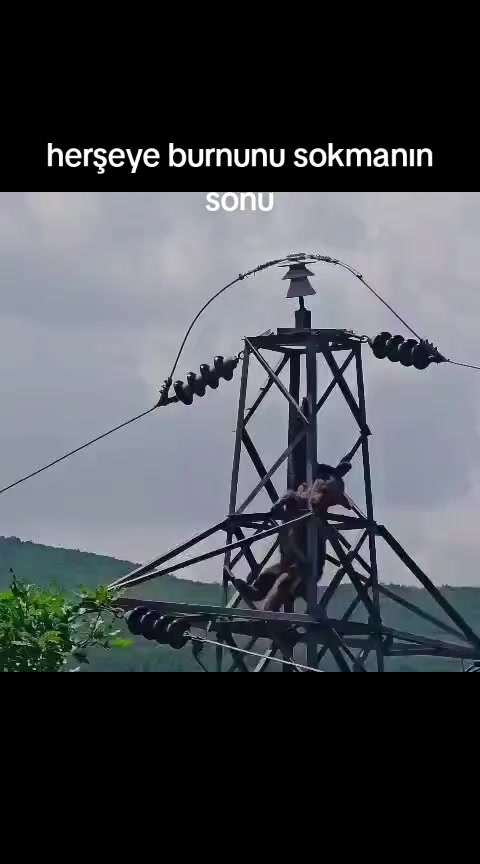 @Nurettin | Hayatın İ&ccedil;inden