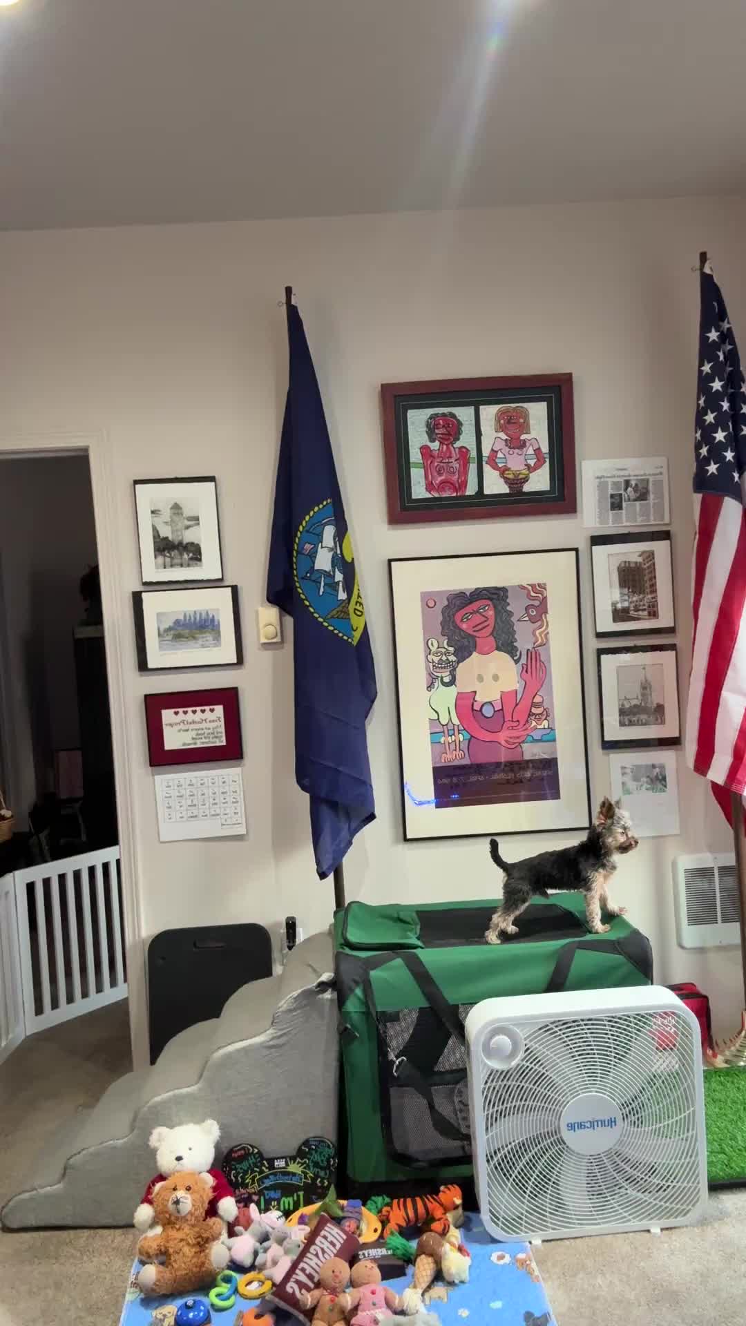 Heidi Christensen (@heidichristensen11) - Urlebird