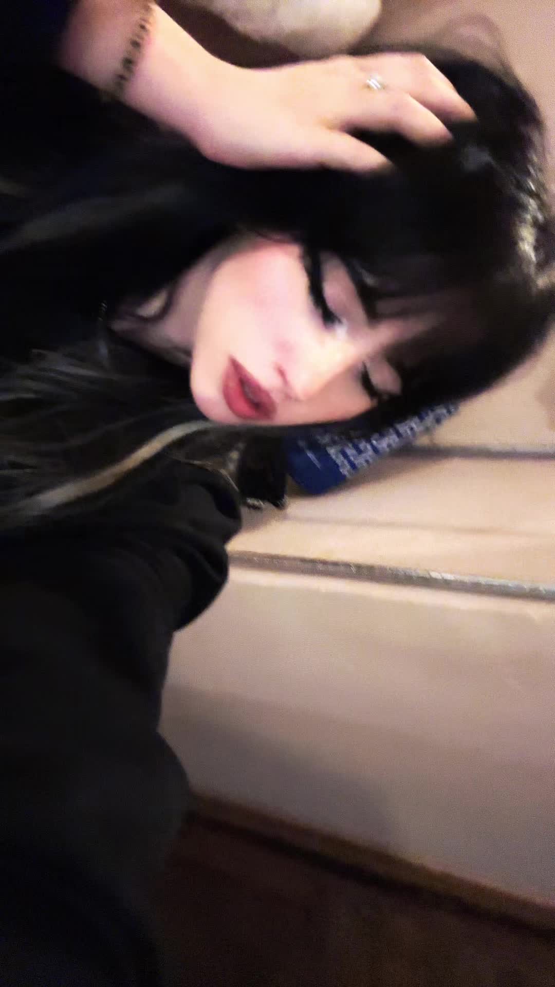 @chatdinosaure