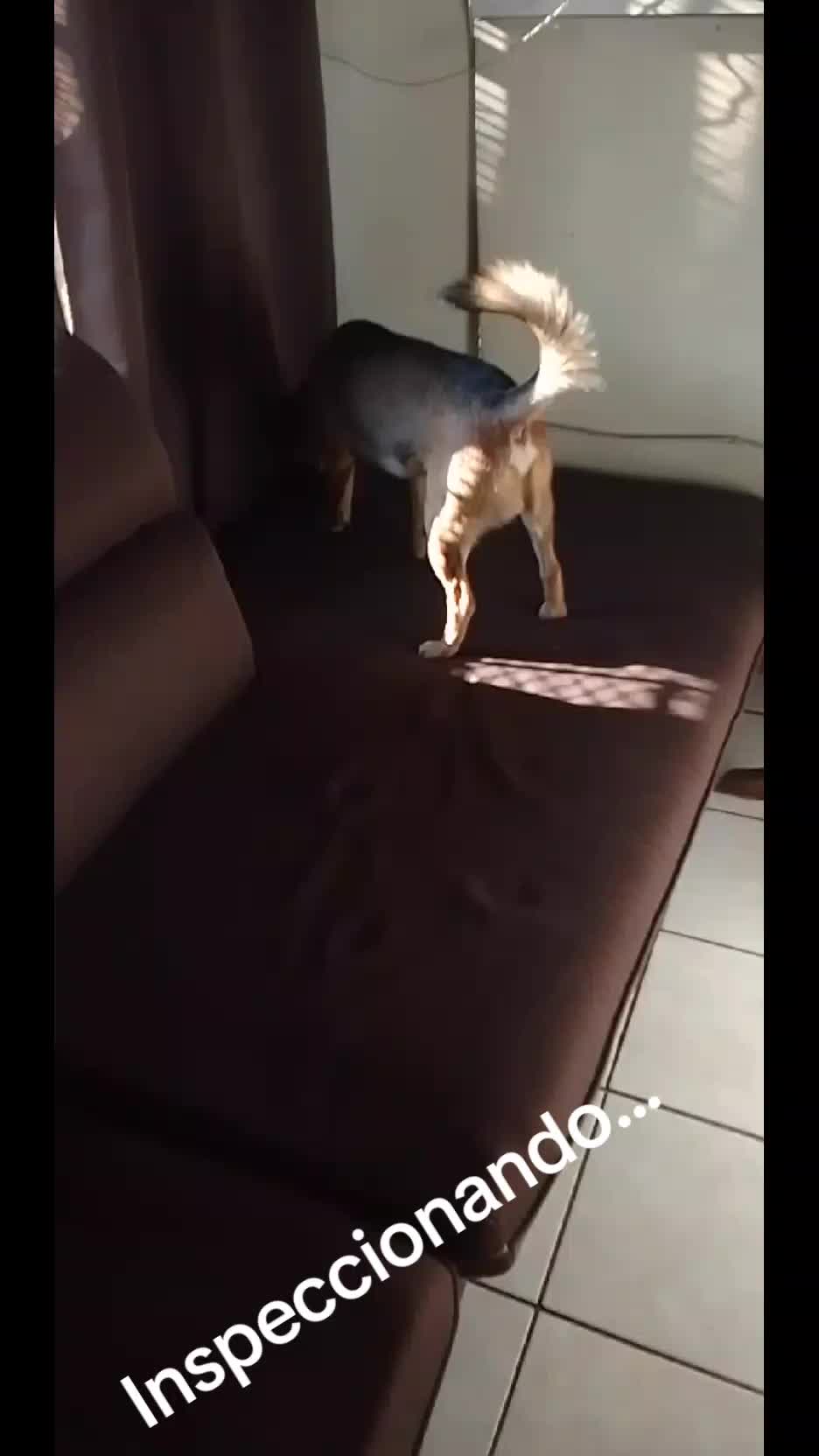 @Bendecido GÓMEZ...