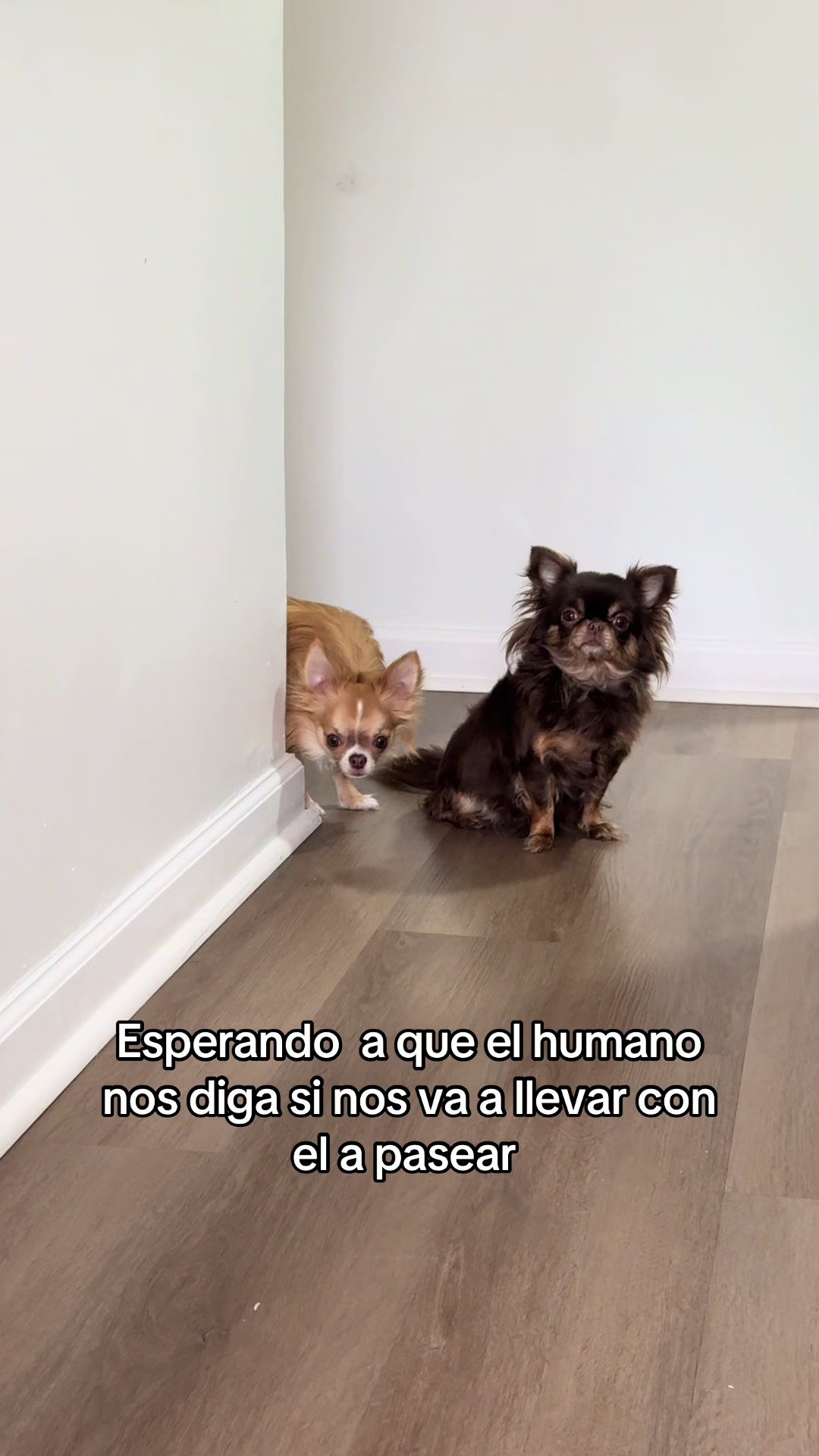@V Romero Ortega