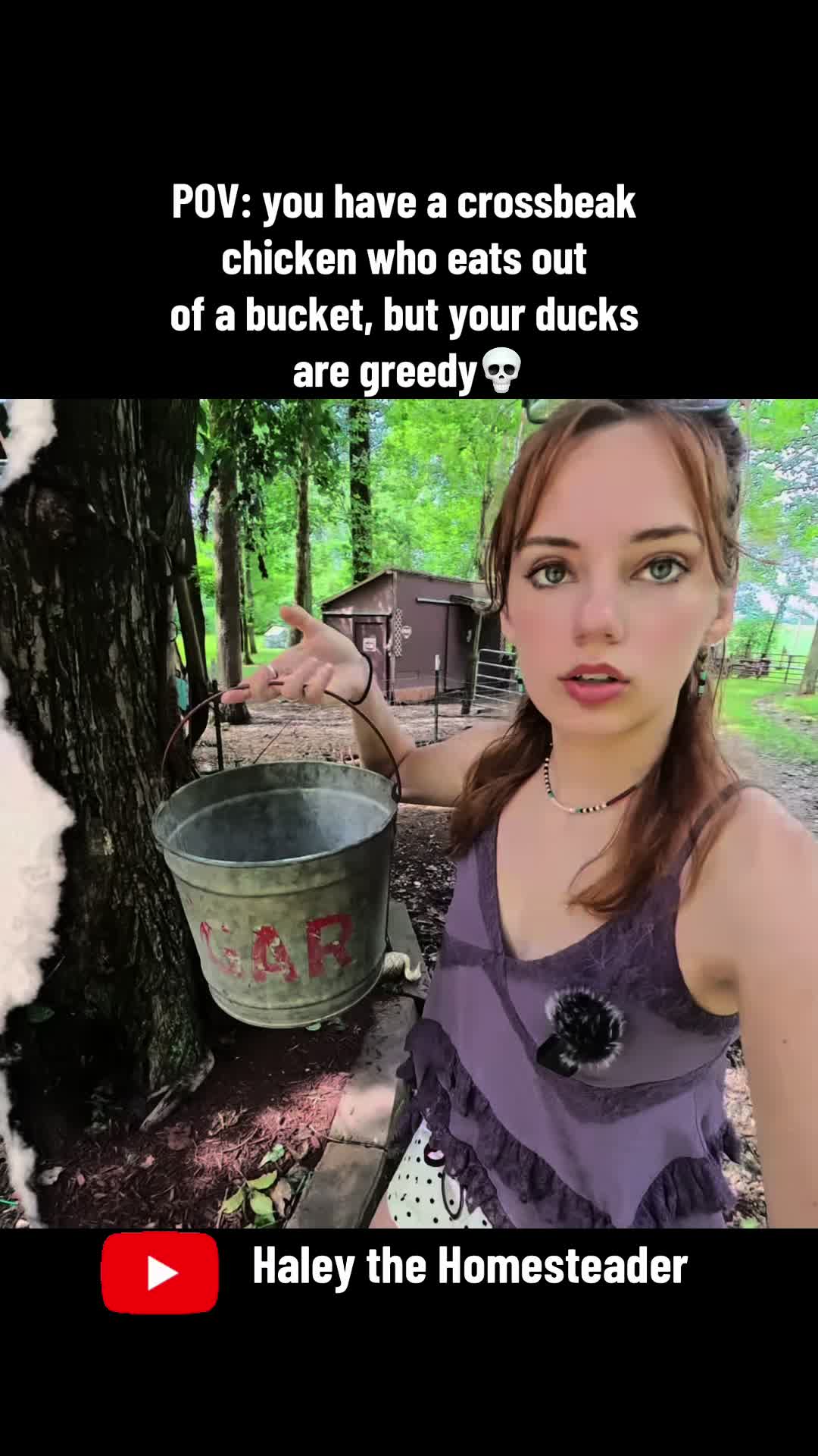 @Haley The Homesteader