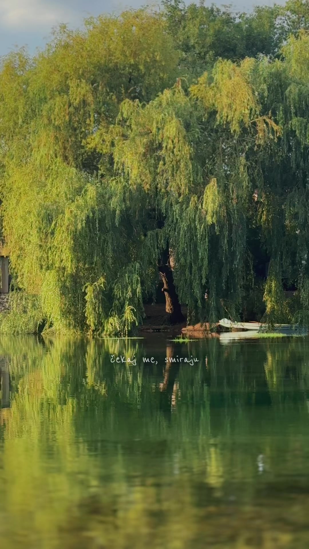 @𝓐🍉