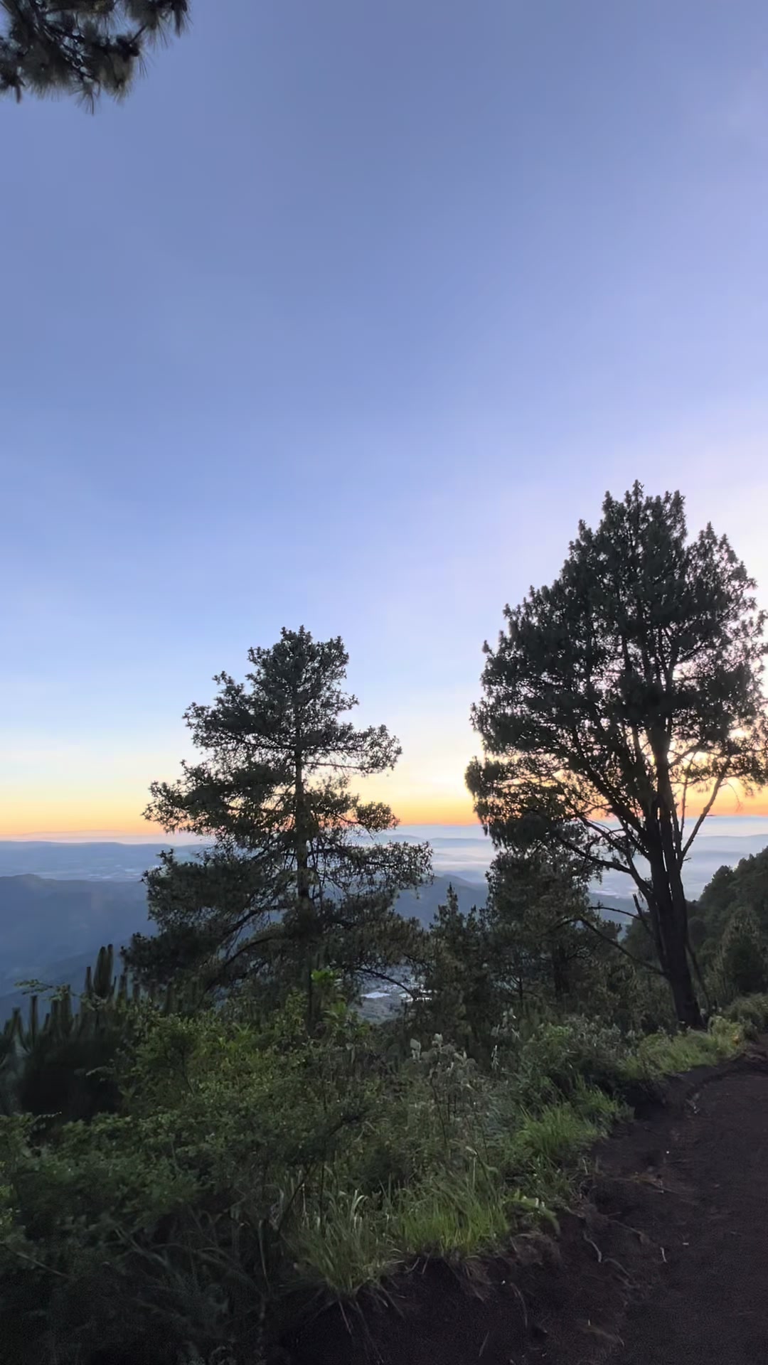 @Saúl-Morgam