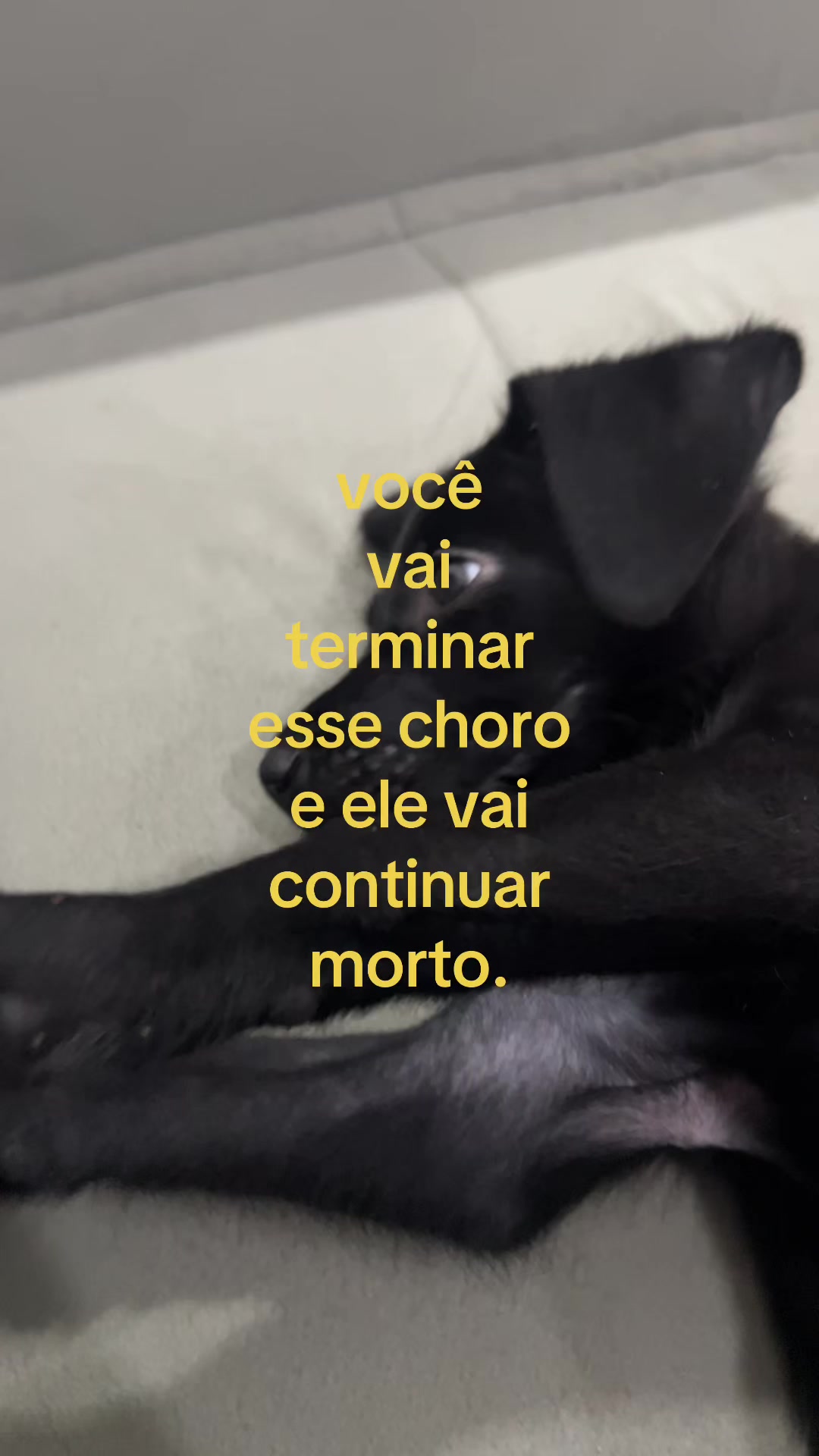@S