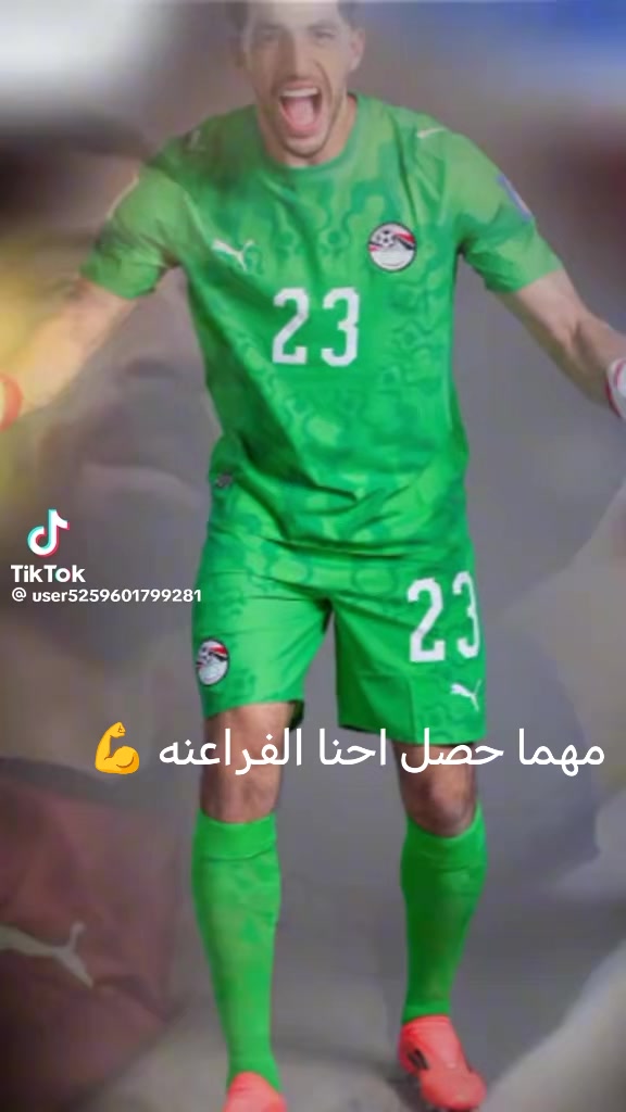 @Dr/ Shimaa Hammed
