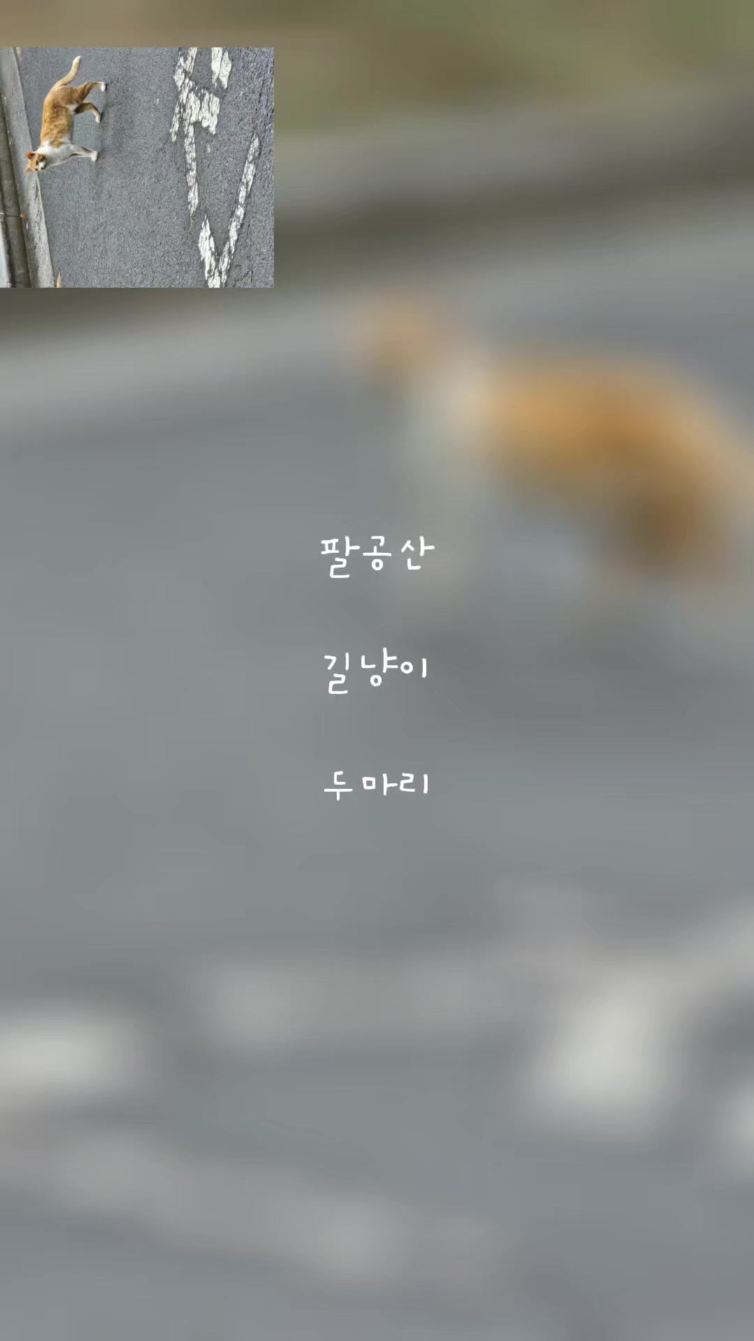 @Just.원
