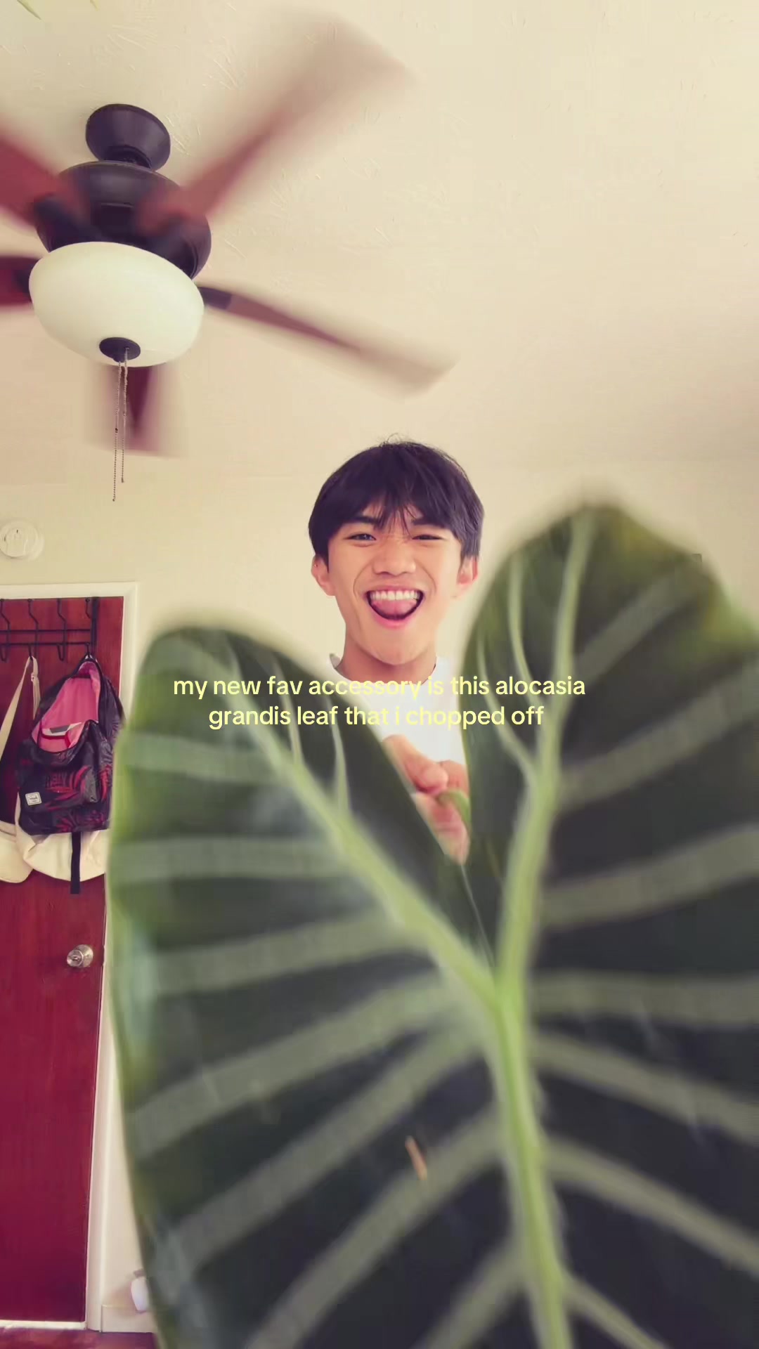 @lee jae ☻
