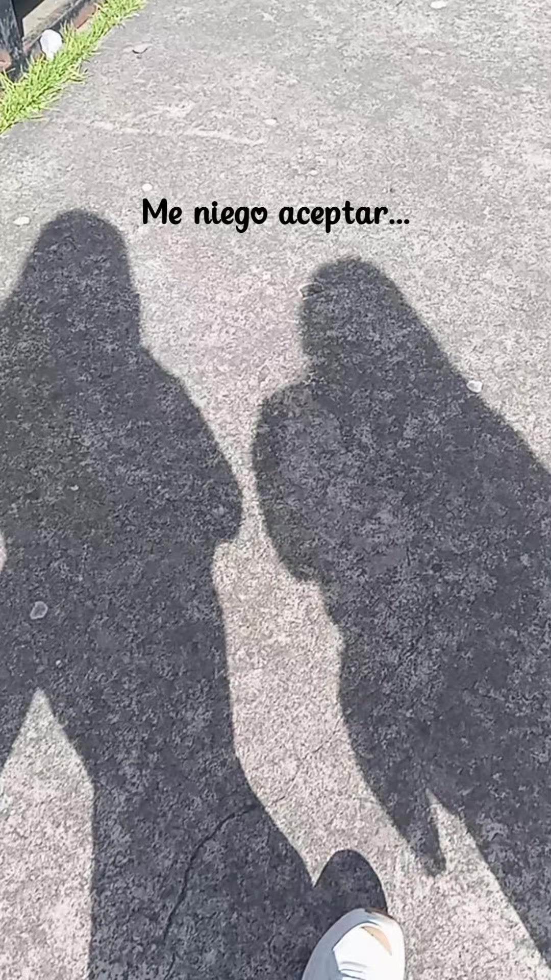 @sayu💕