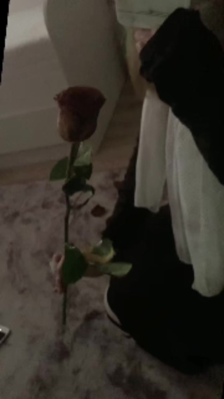 @mïhnoshæ