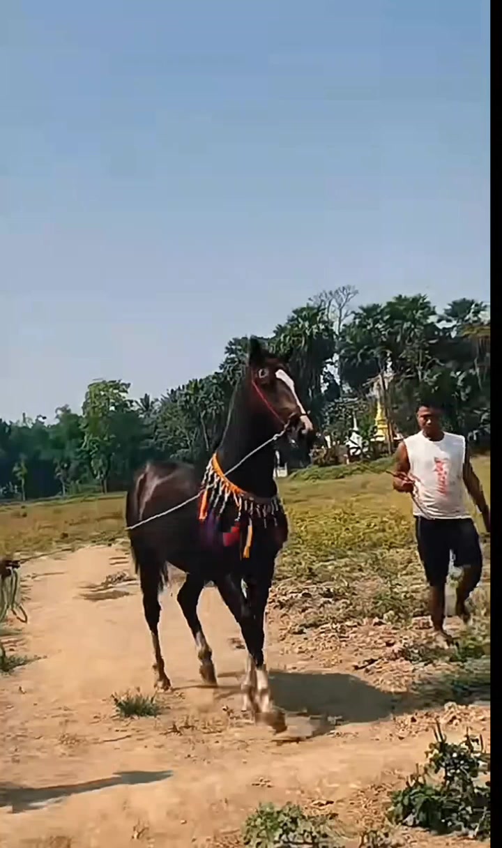 @☪️Aung Gyi♌️