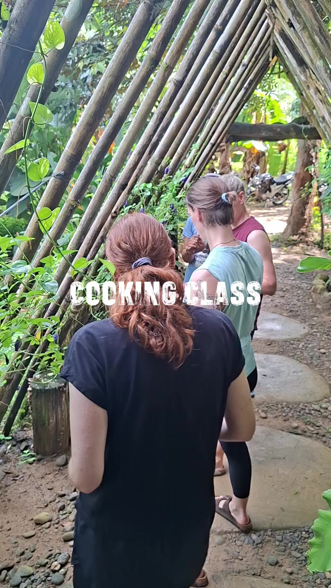 @The Jungle Guide