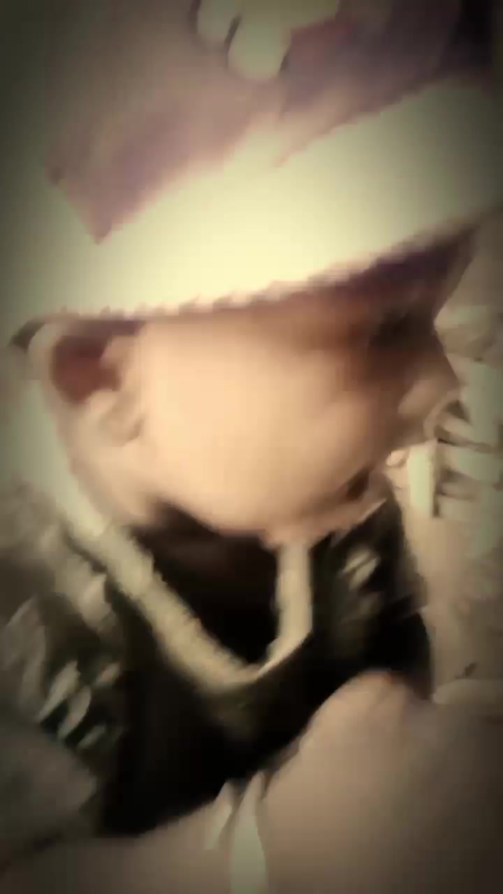 @Editor55
