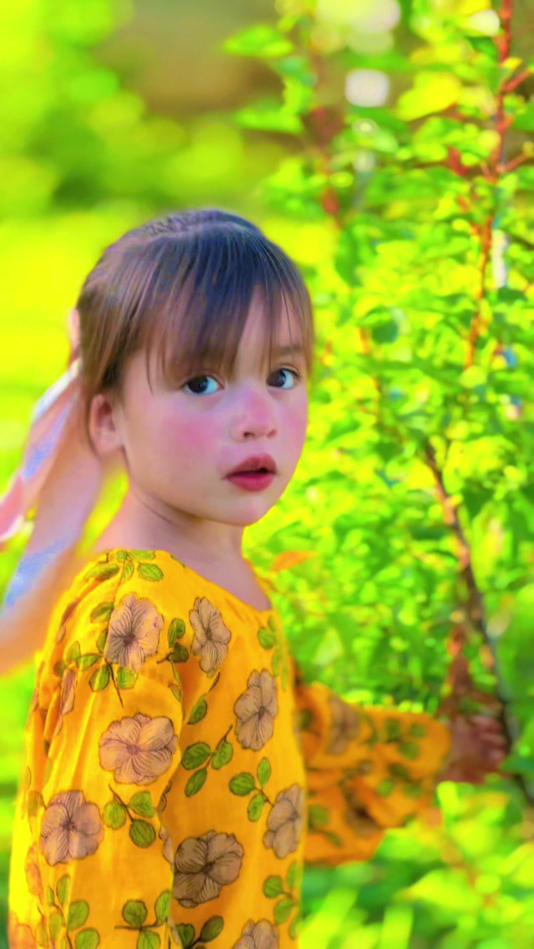 @Dɾ R&iota;xwan Ayan