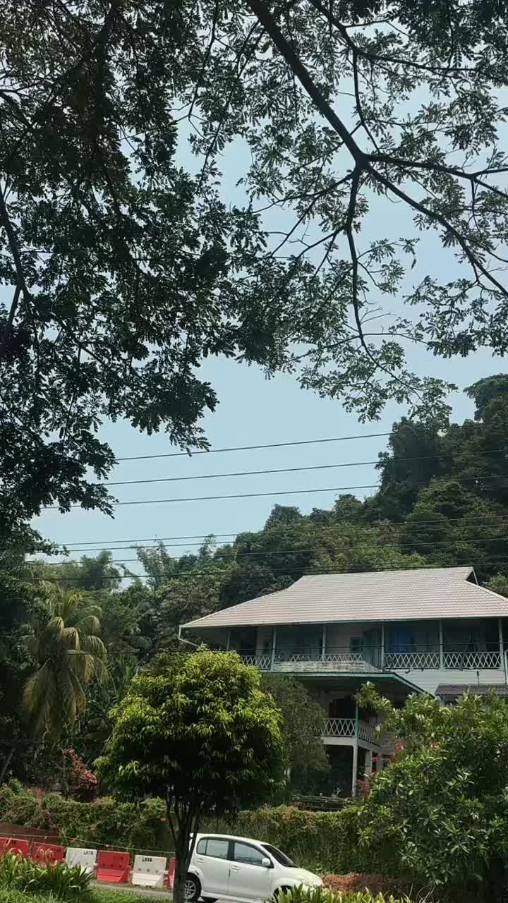 @TOFAN🔥