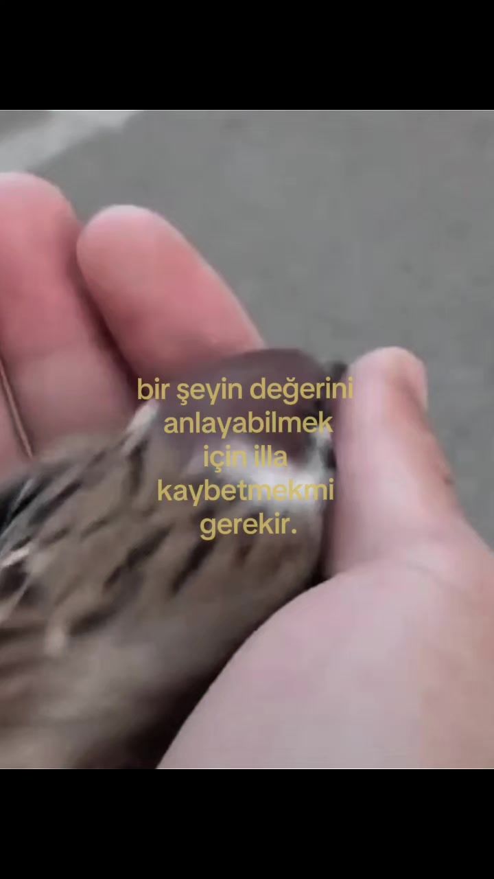@mıra,,