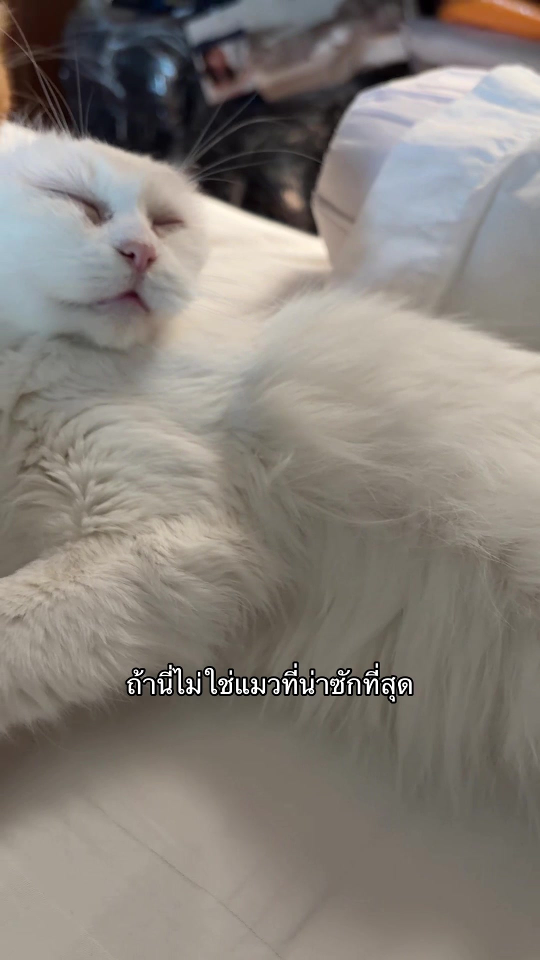 @น้องกล้วยกะป้อกล็อค