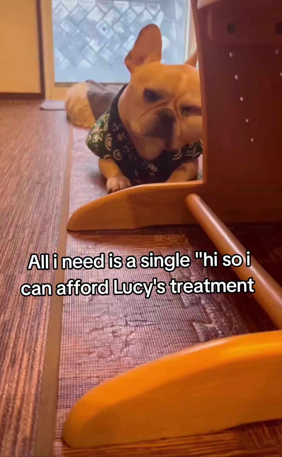 @CancerFighterPup