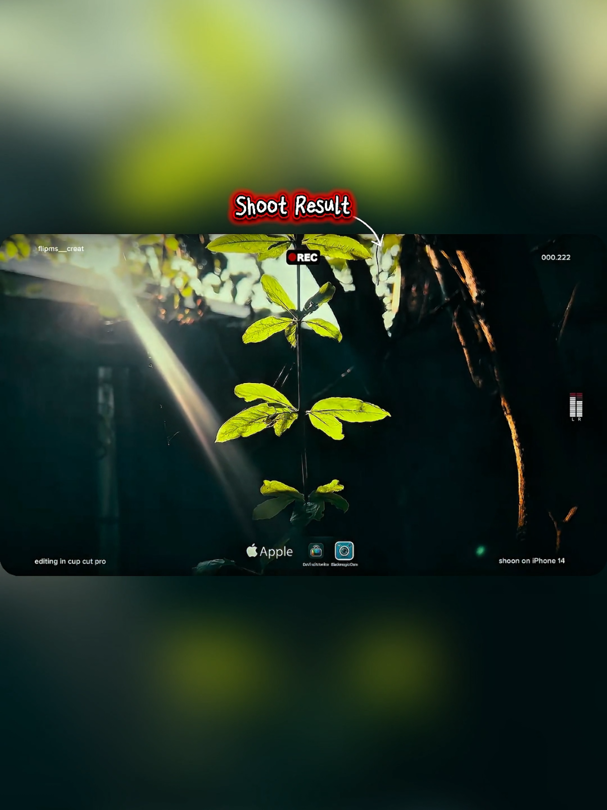 @EditxSojib
