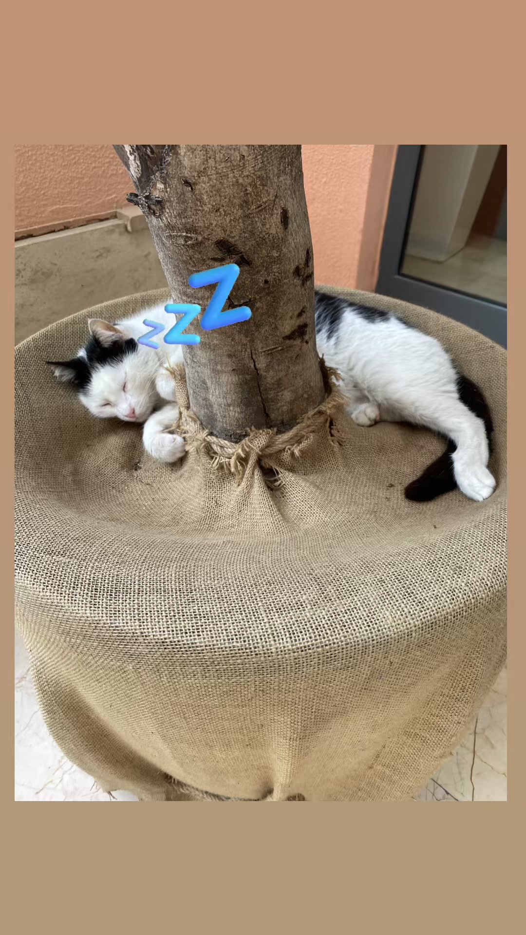 @Şapkalı Kadın