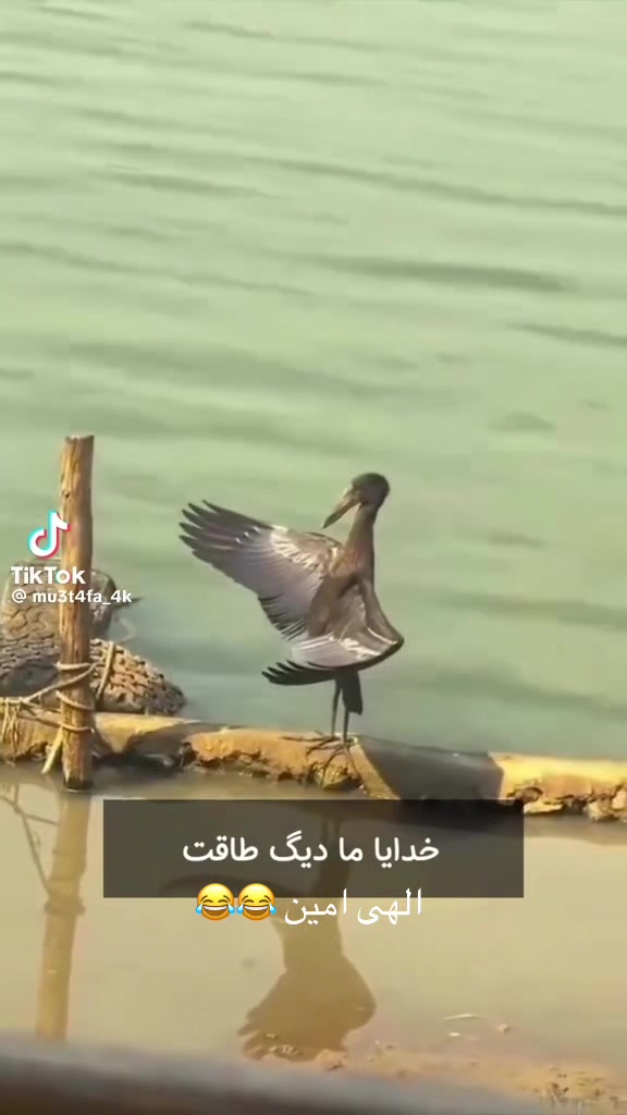 @🇦🇫30MǍ🇦🇺