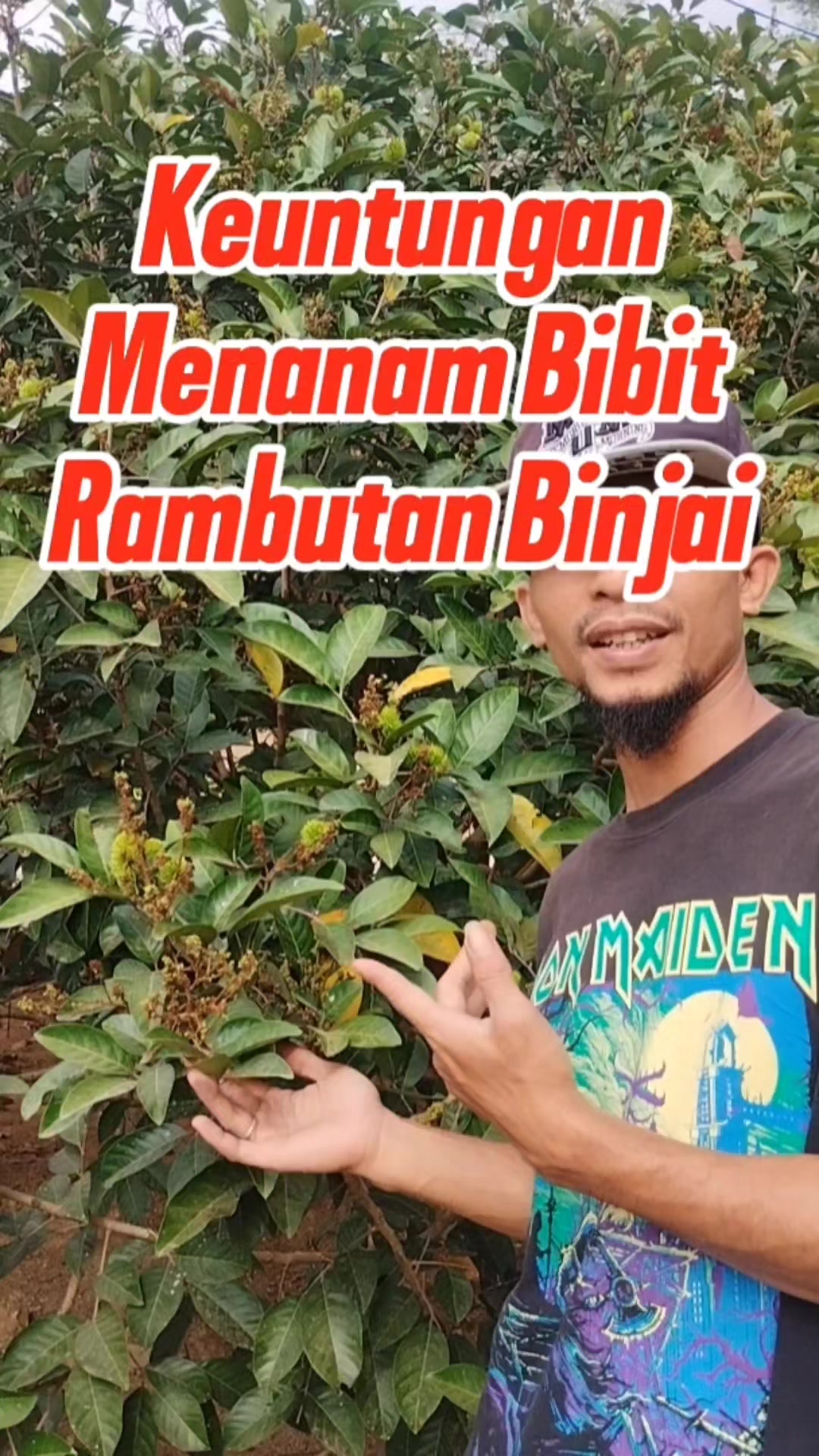 @Bukit Farming