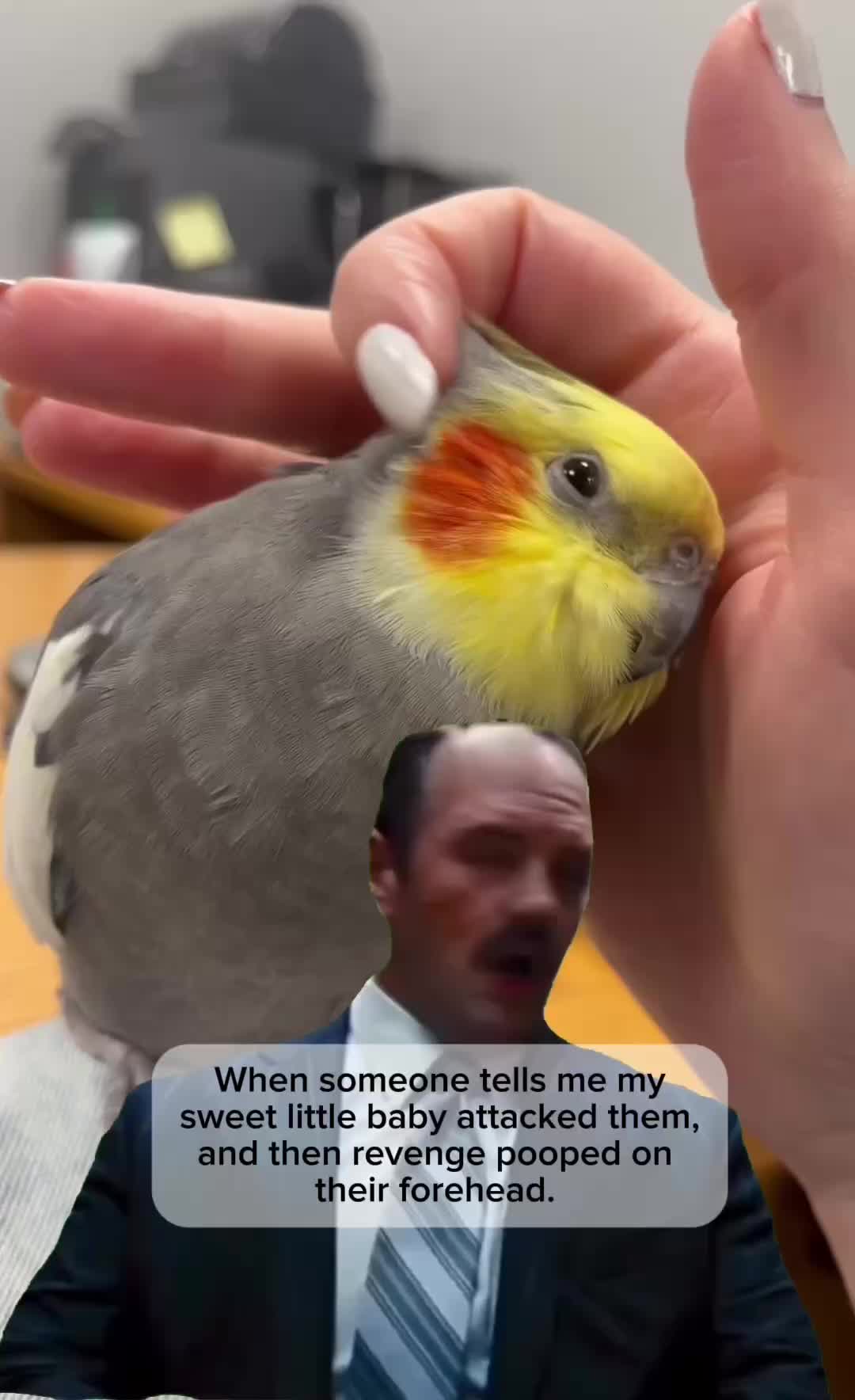 @Emery The Branch Manager