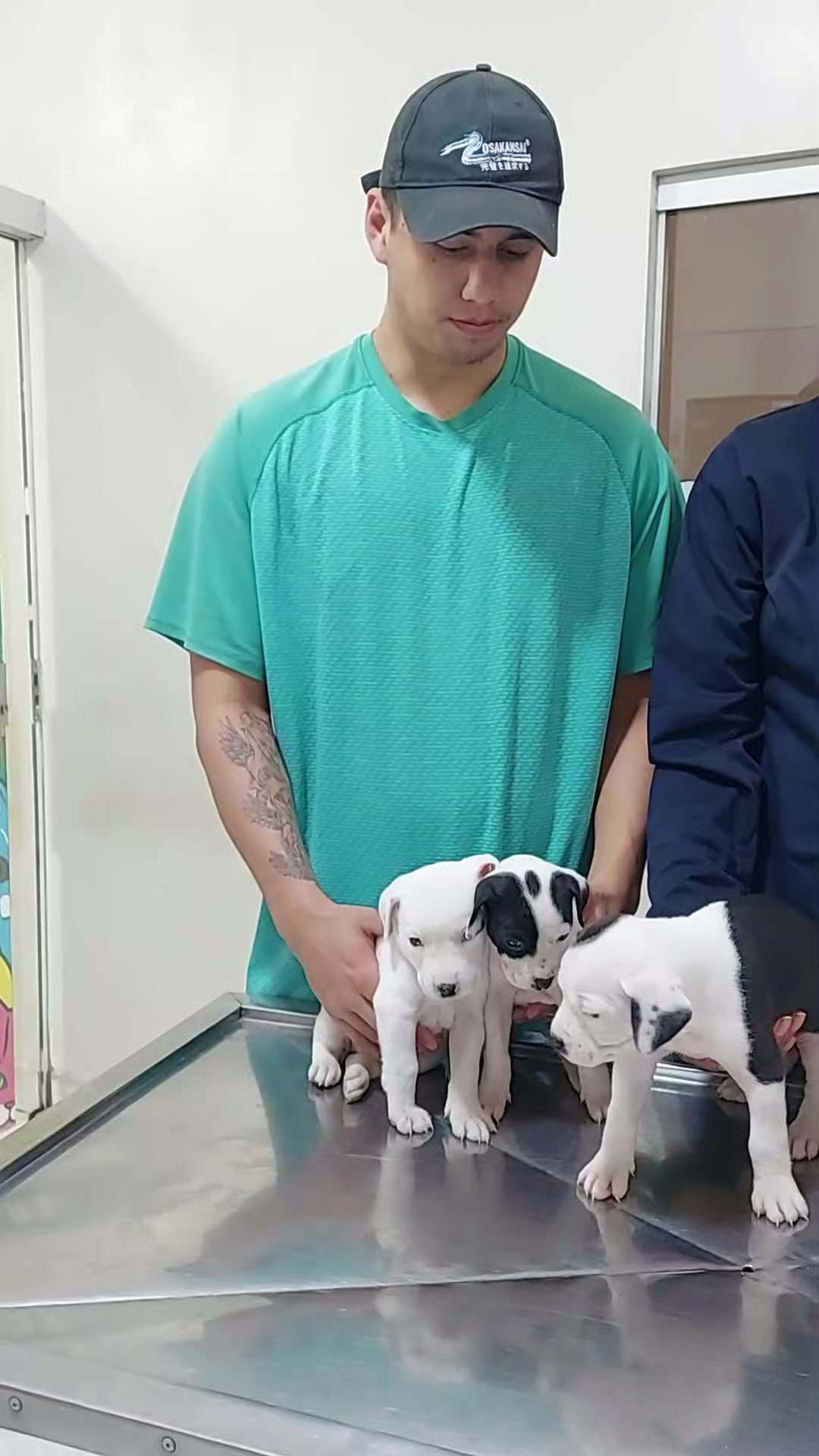 @VETERINARIA VET CENTER 💜