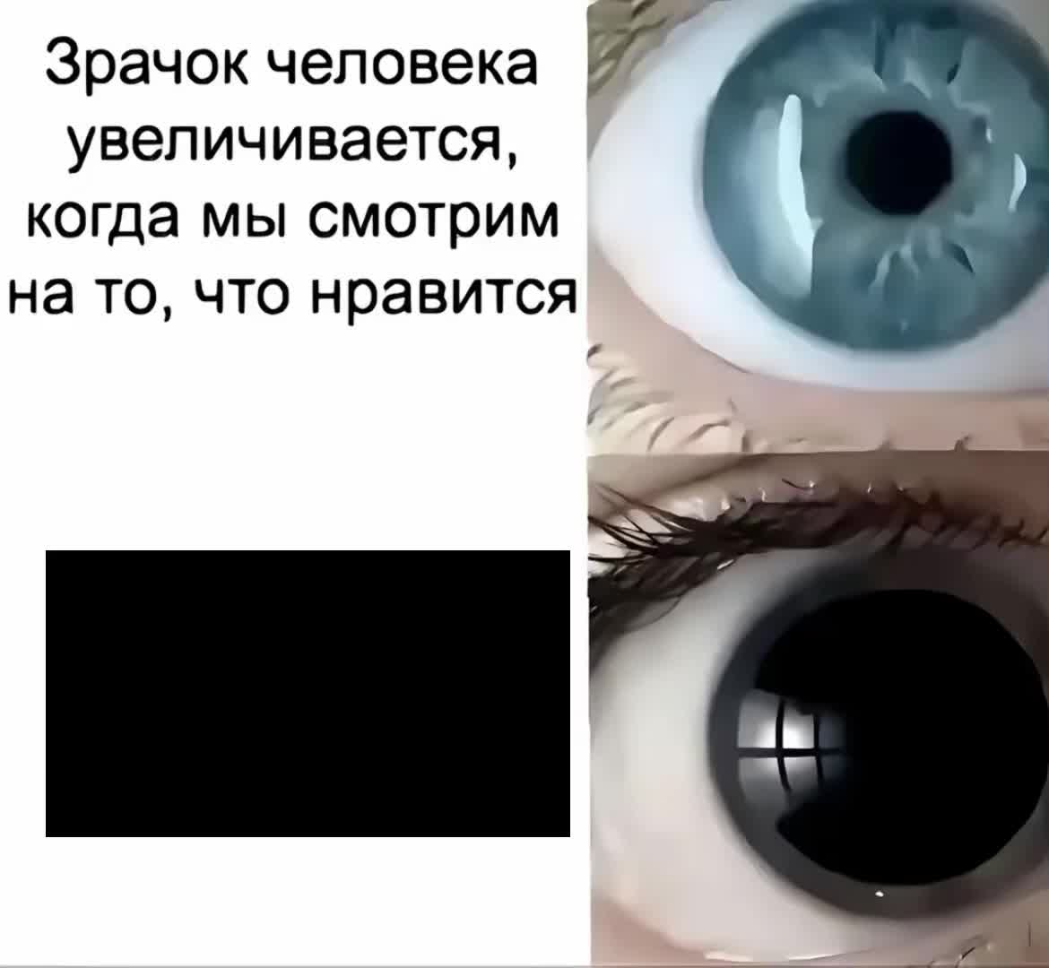 @feshiko_GG