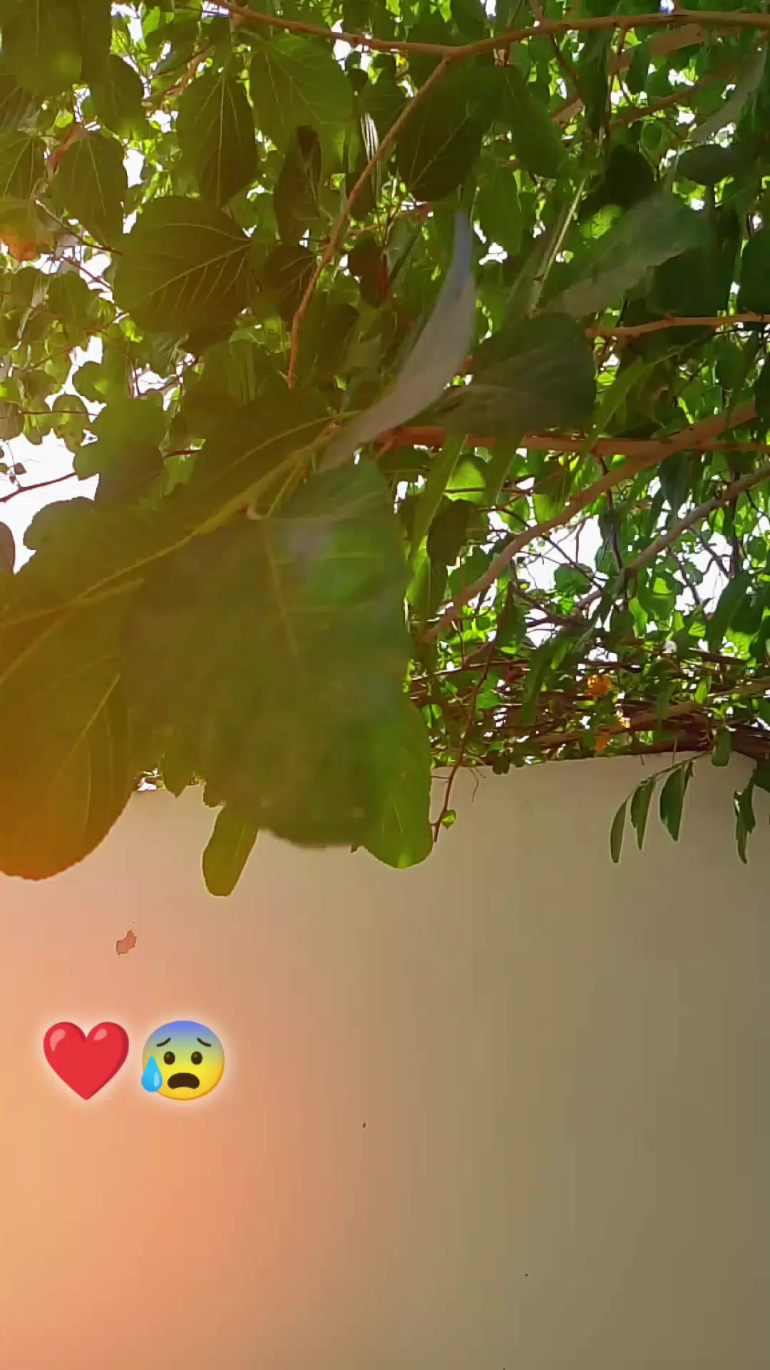 @Qasim Ali