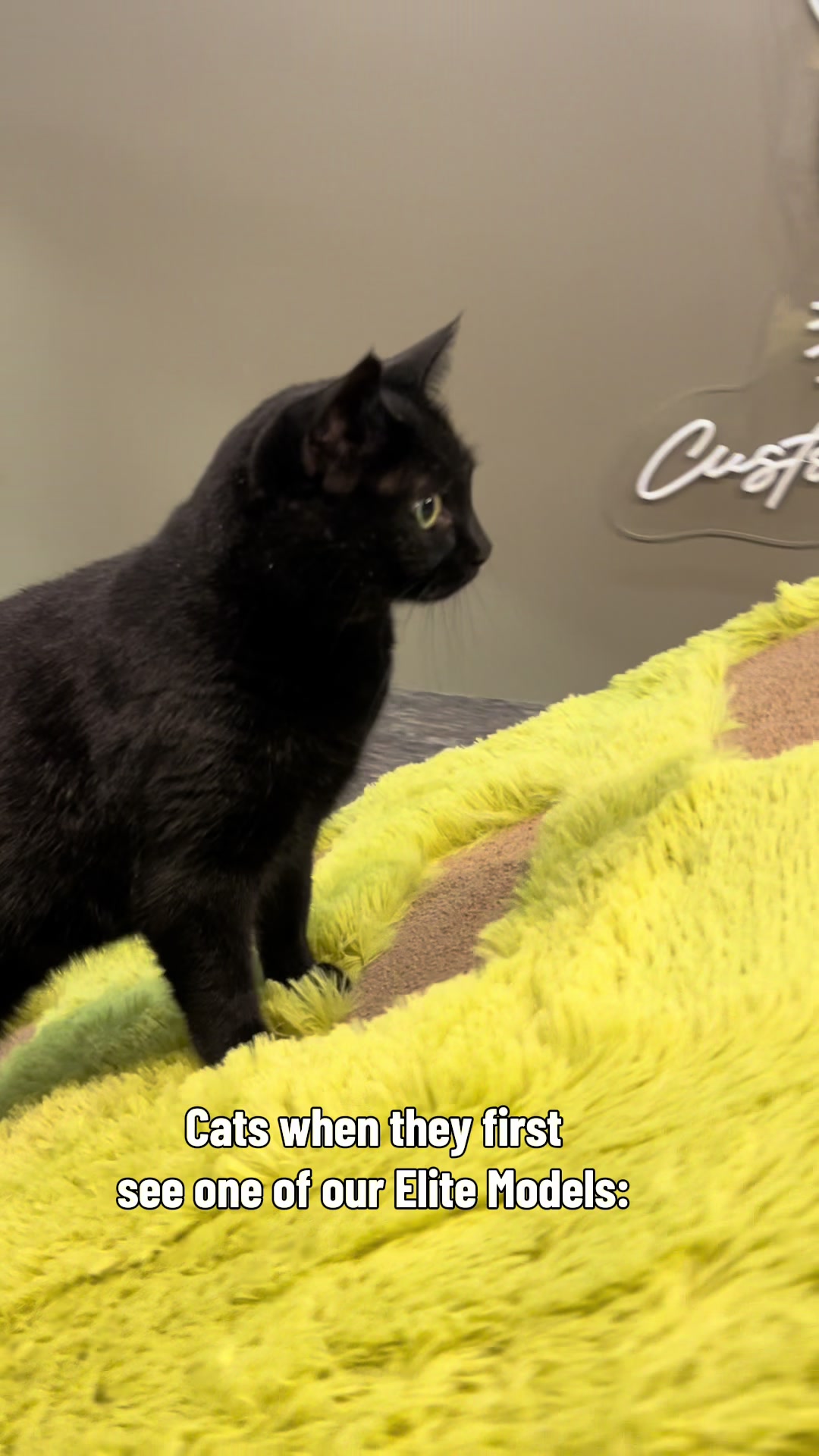 @customcatcribs