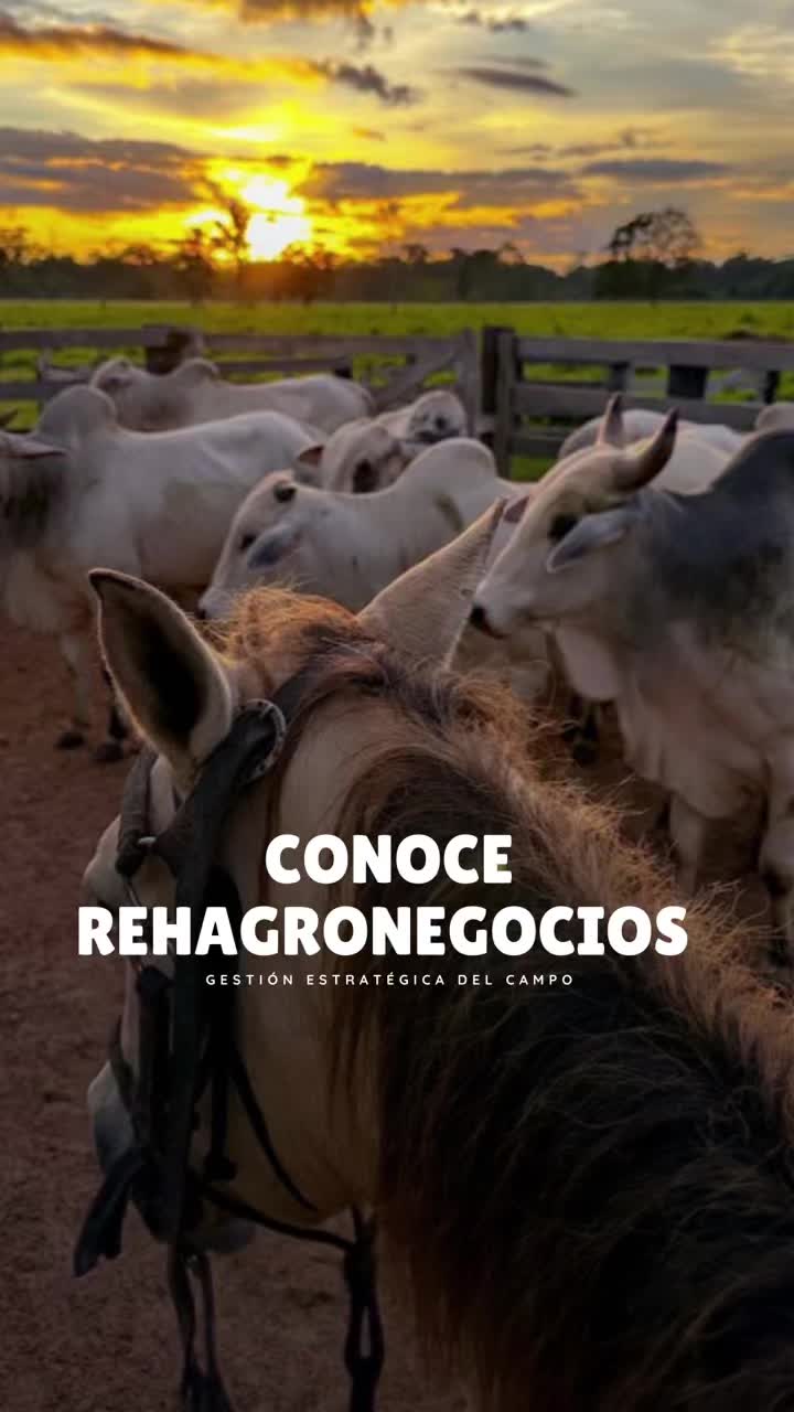 @Rehagronegocios