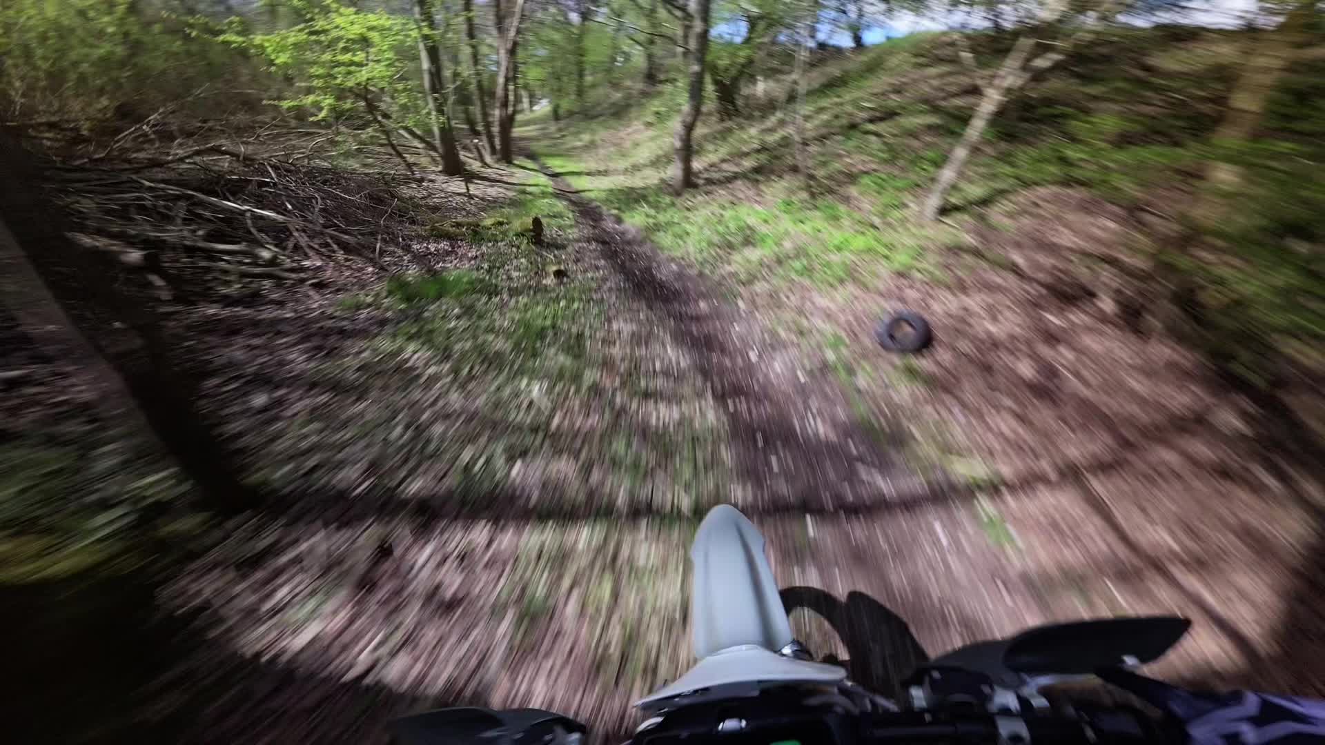 @Freerideo (Oscar)