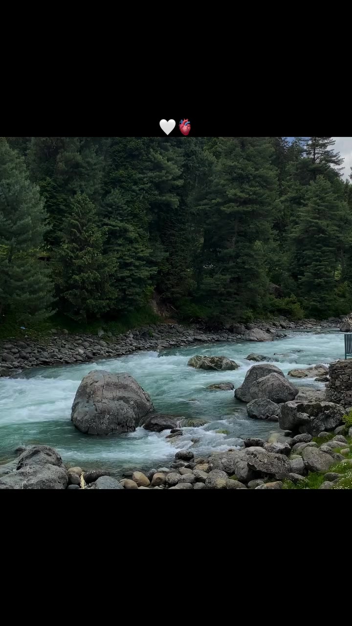 @B7F乛حسيب