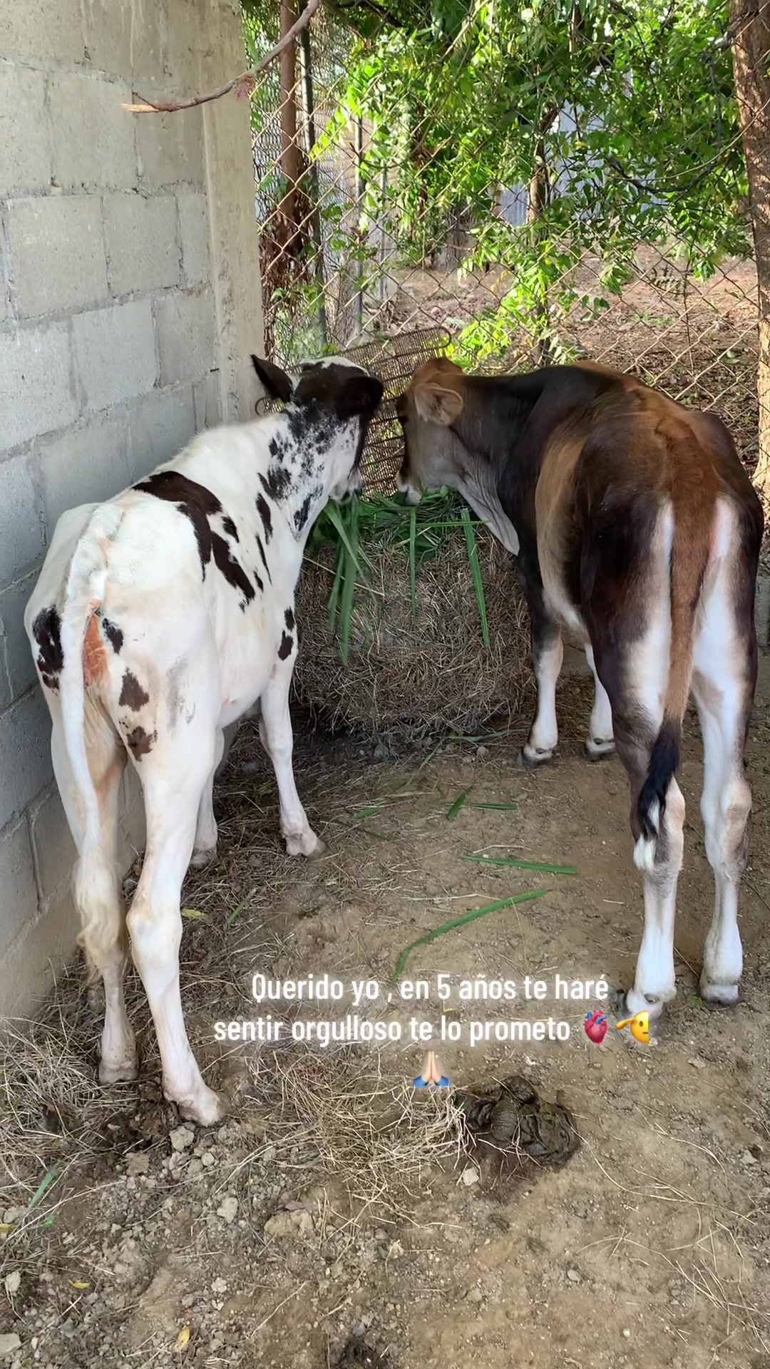 @Garcia 🦦