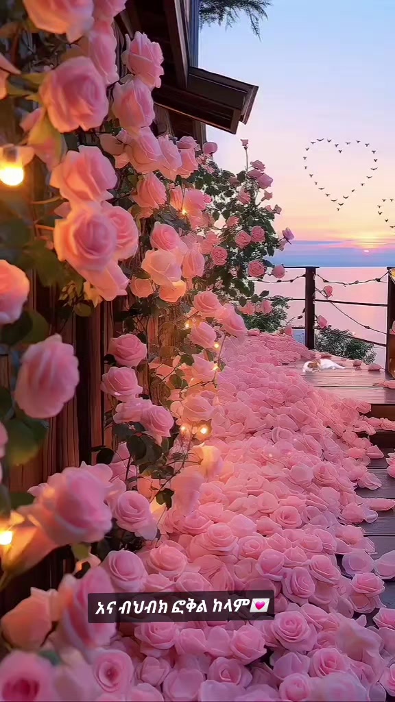 @زوزو بنت بابا🦋👑