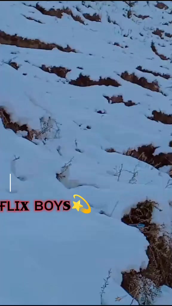 @💫🆂🆆🅰🆃 𝐟𝐥𝐢𝐱 𝐛𝐨𝐲🐺💥