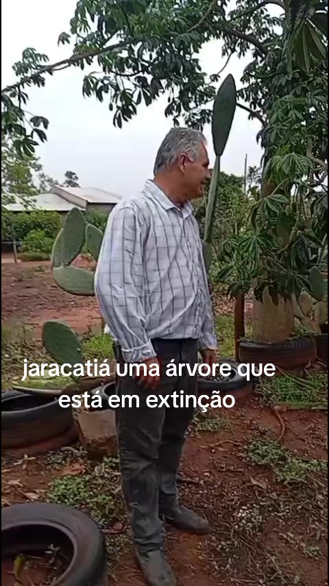 @La&eacute;rcio Garcia