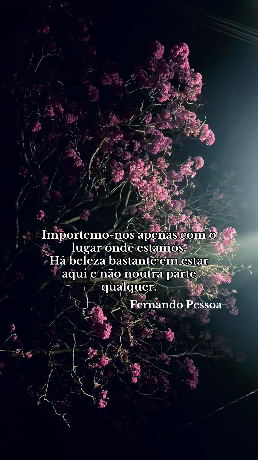 @sena.quenaobateu