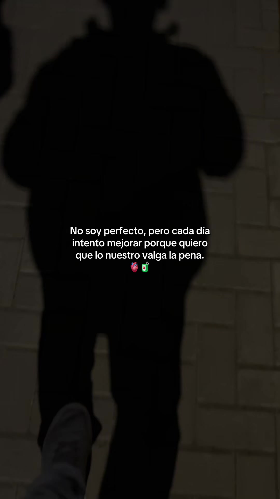 @Gatocix 🐱