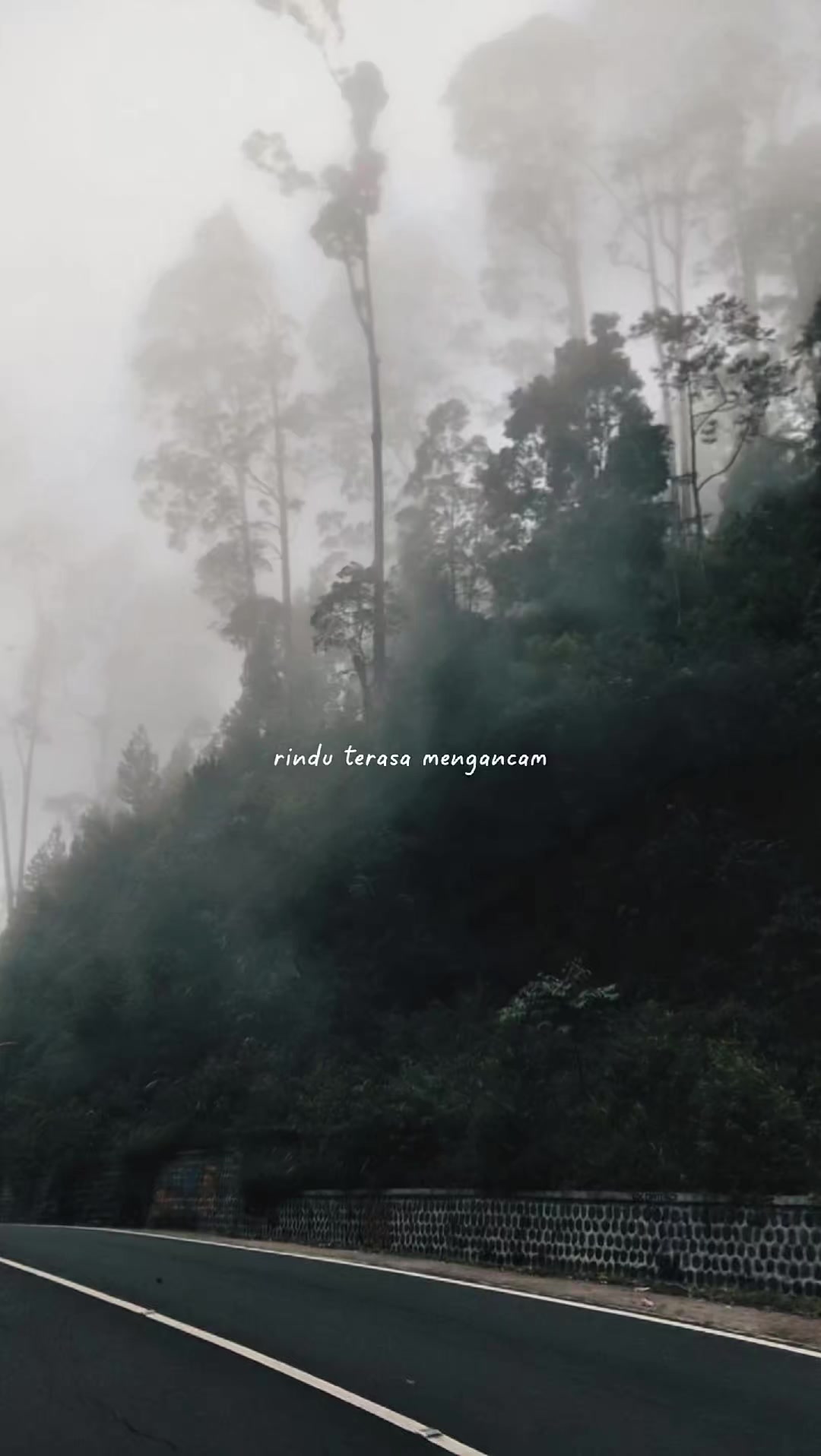 @inimusikku.id x Clip