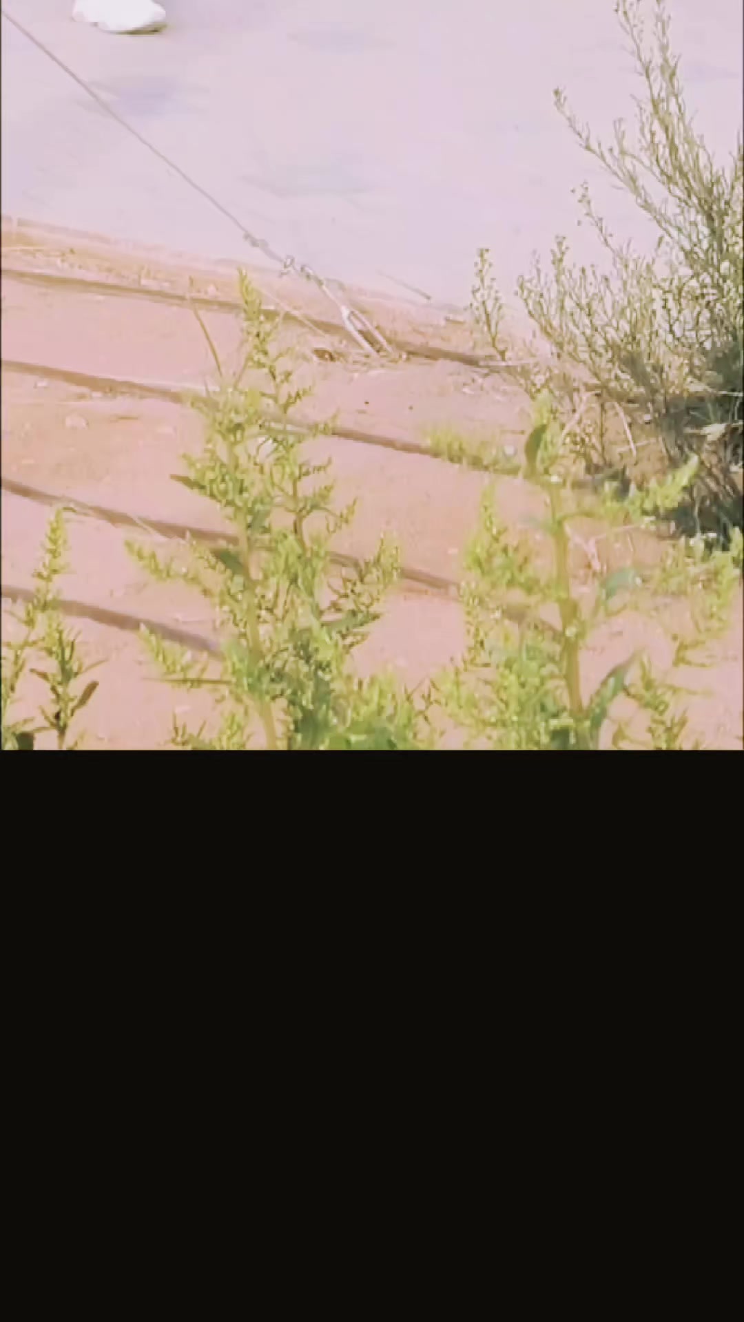 @Ś&Uacute;ĹŤ&Aacute;Ń