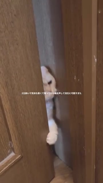 @ワタシの可愛い天使達💘