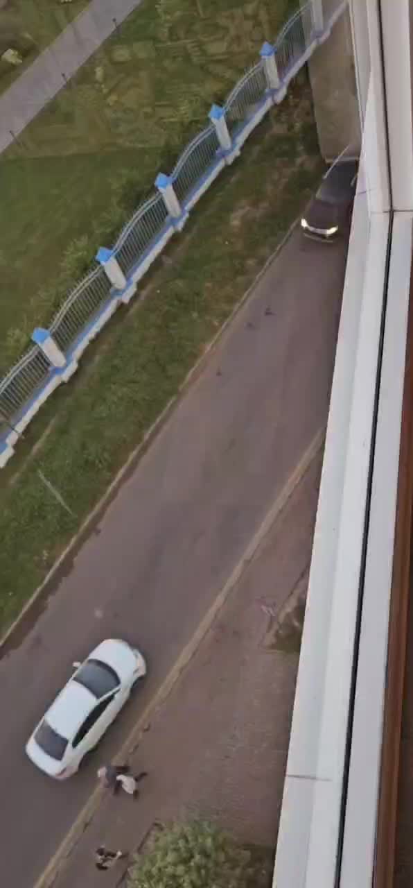 @RippaVod