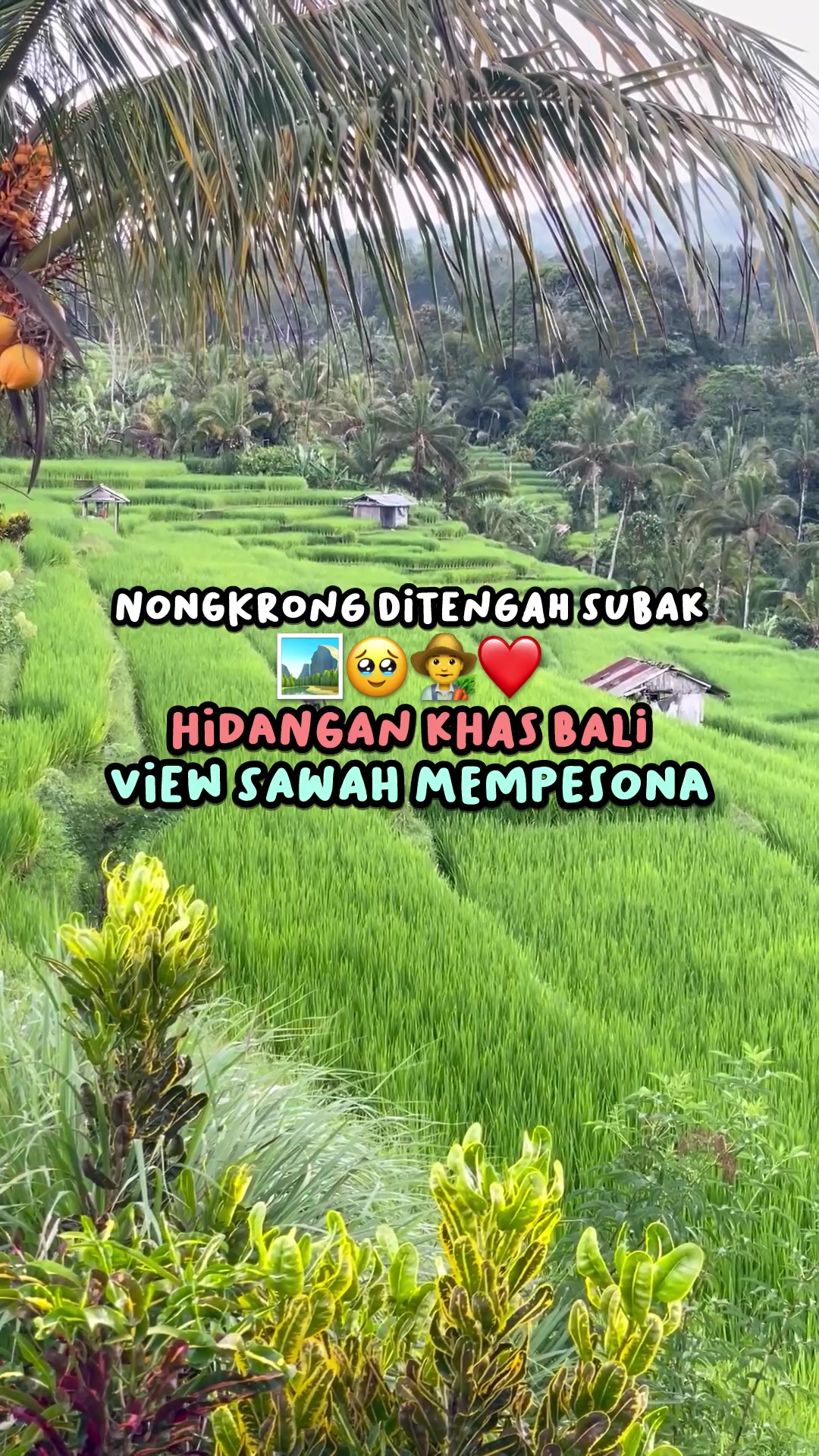 @DeliciousBali