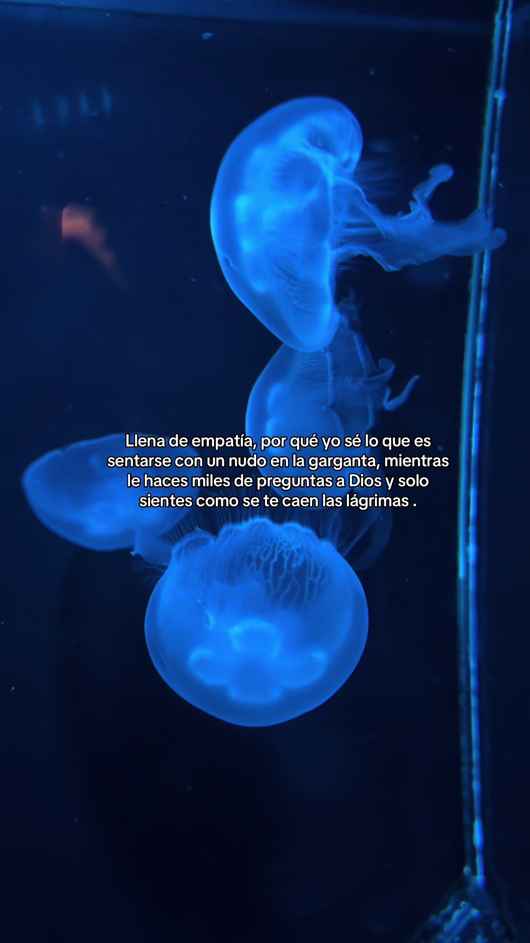 @•𝚈𝚊𝚜𝚖𝚒𝚗