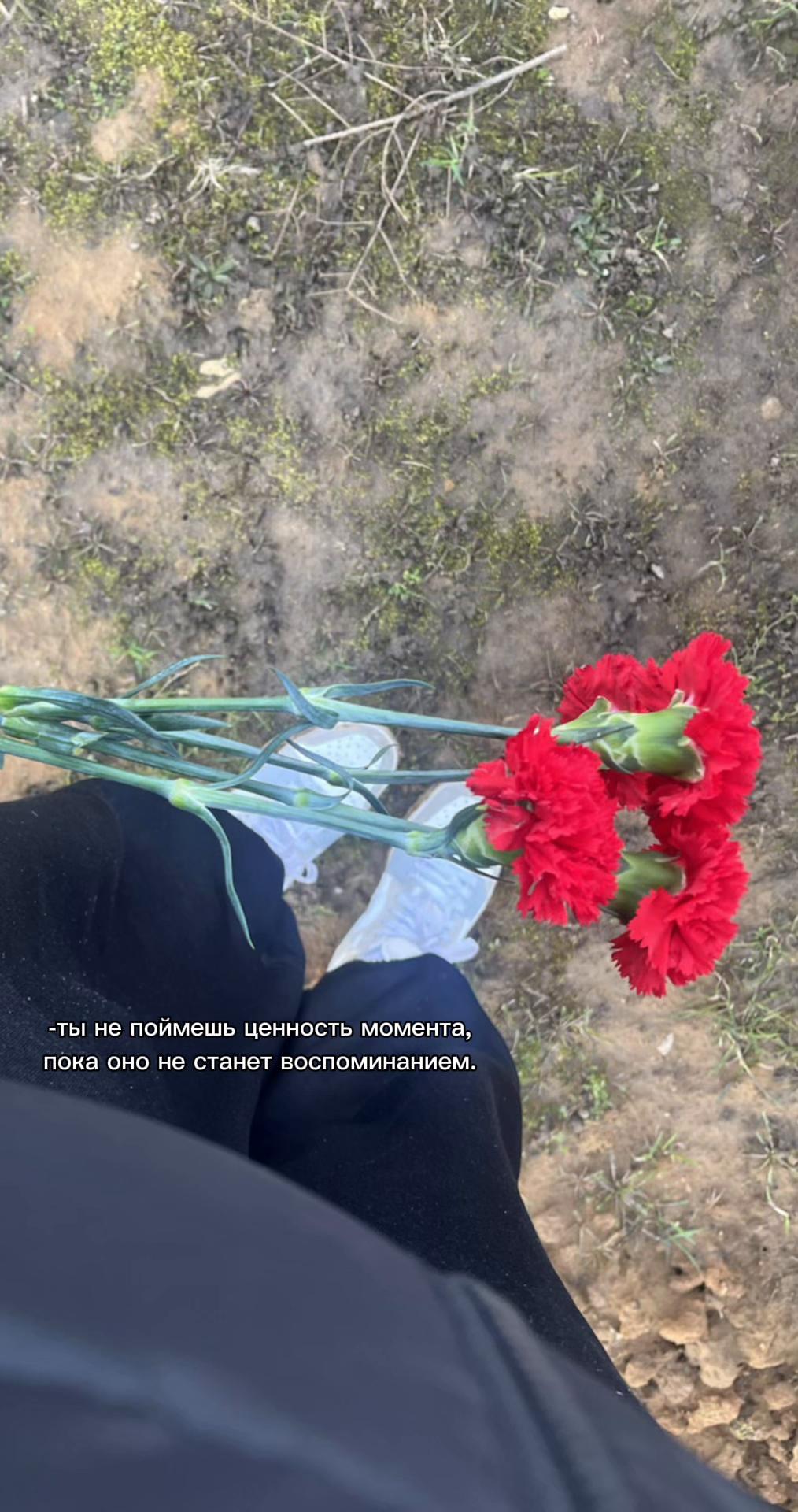@Кудрявая🩶
