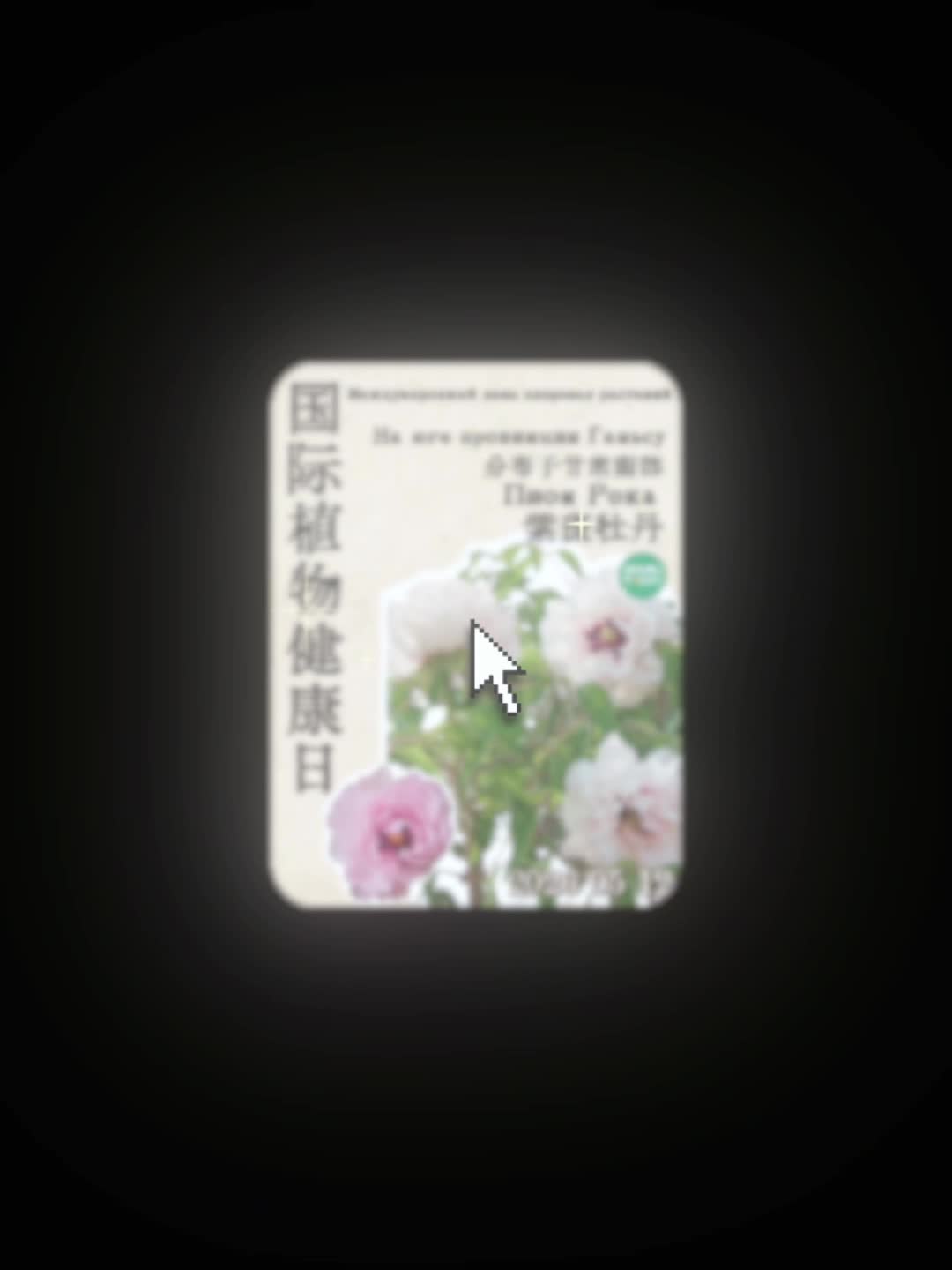 @GansuToday