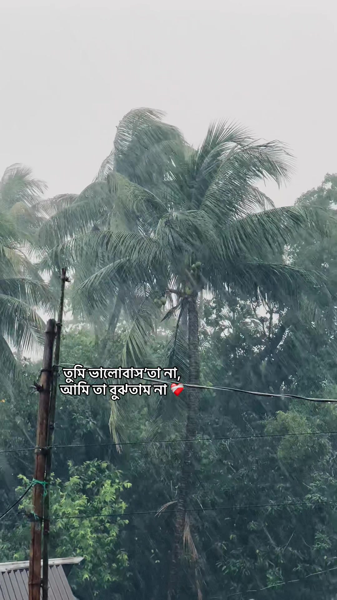 @_নিখোঁজ_