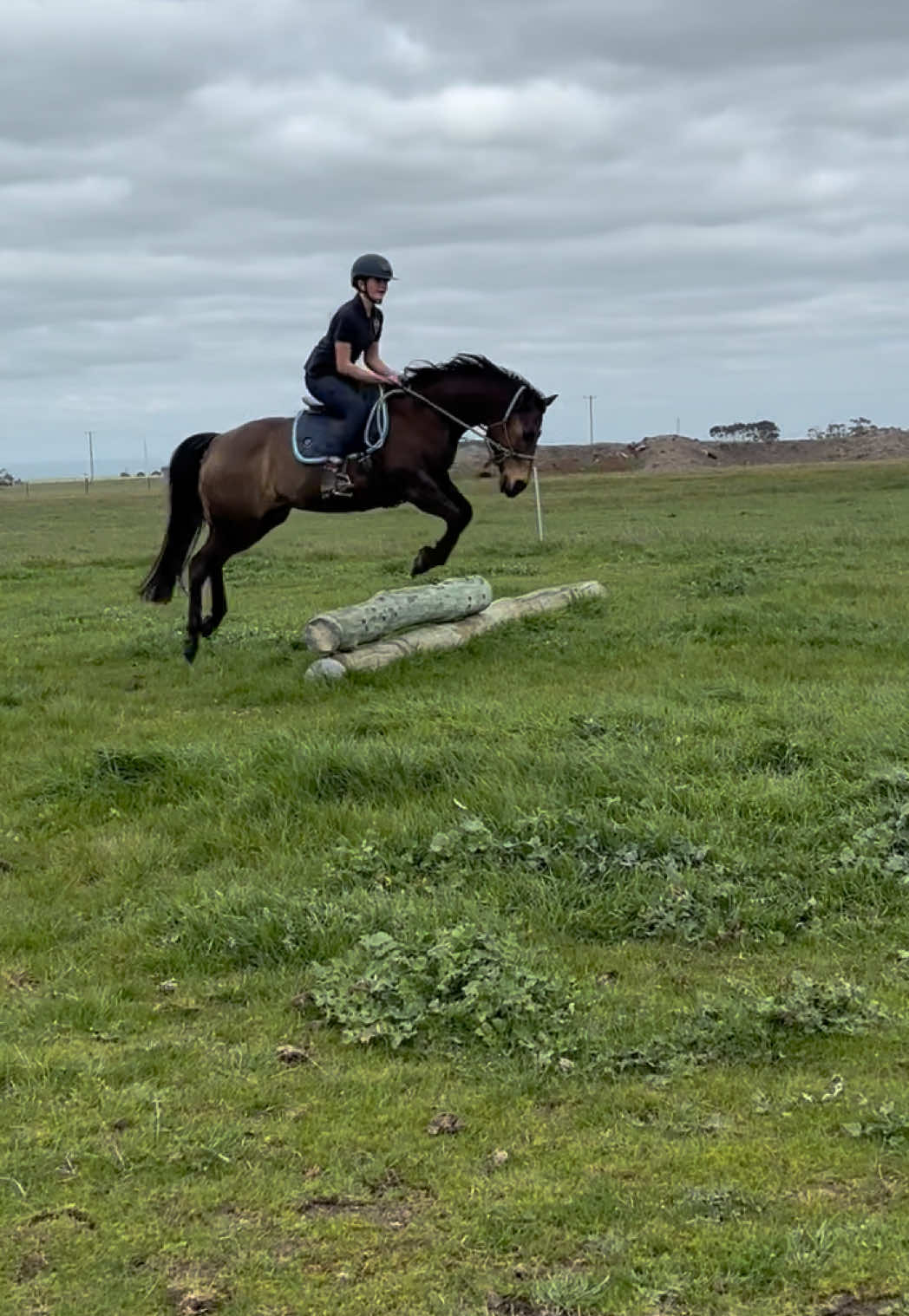 @🖤 Savs ponies🤍